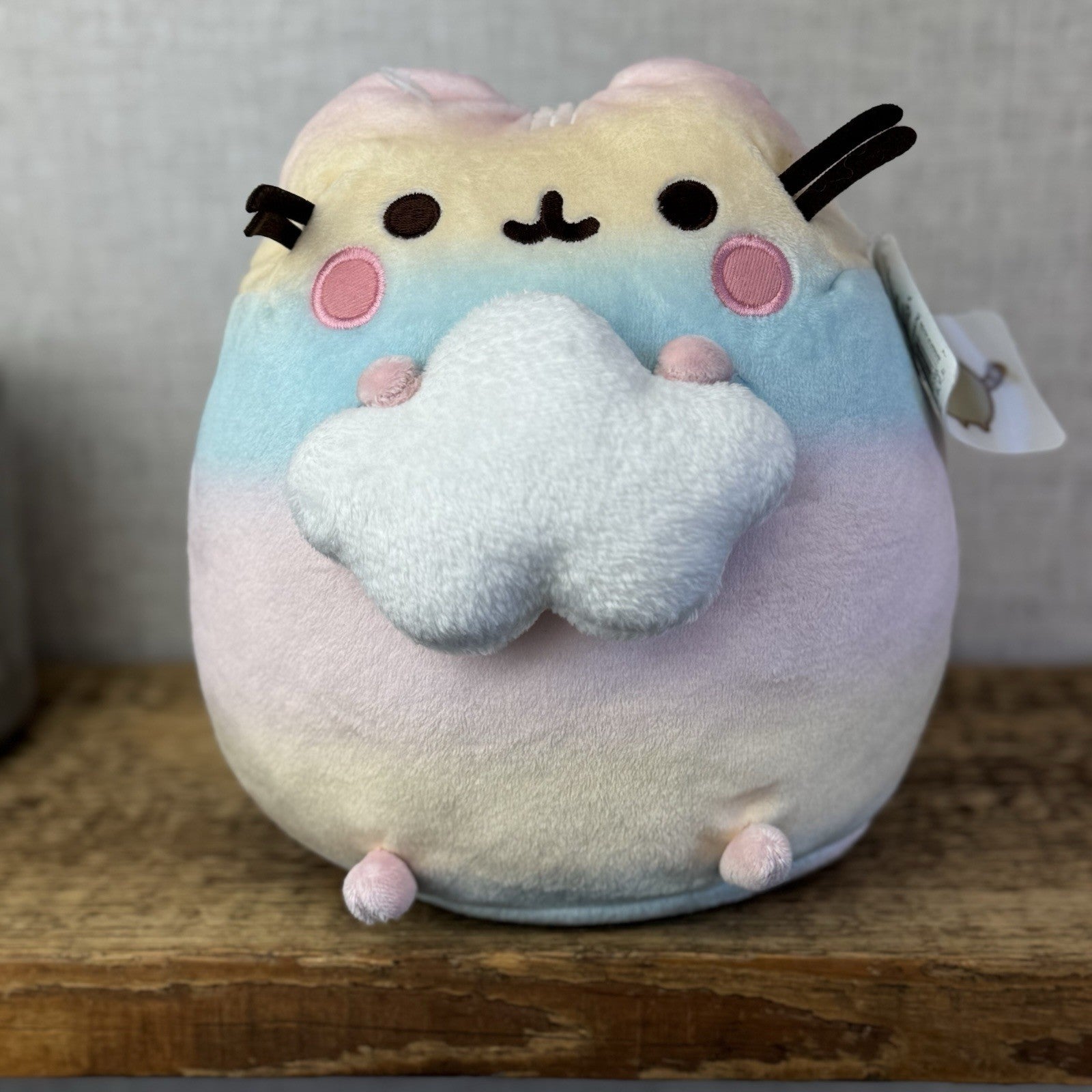 Gund Pusheen Cat - Rainbow Ombre Pusheen With Cloud - Partial Tag 10"