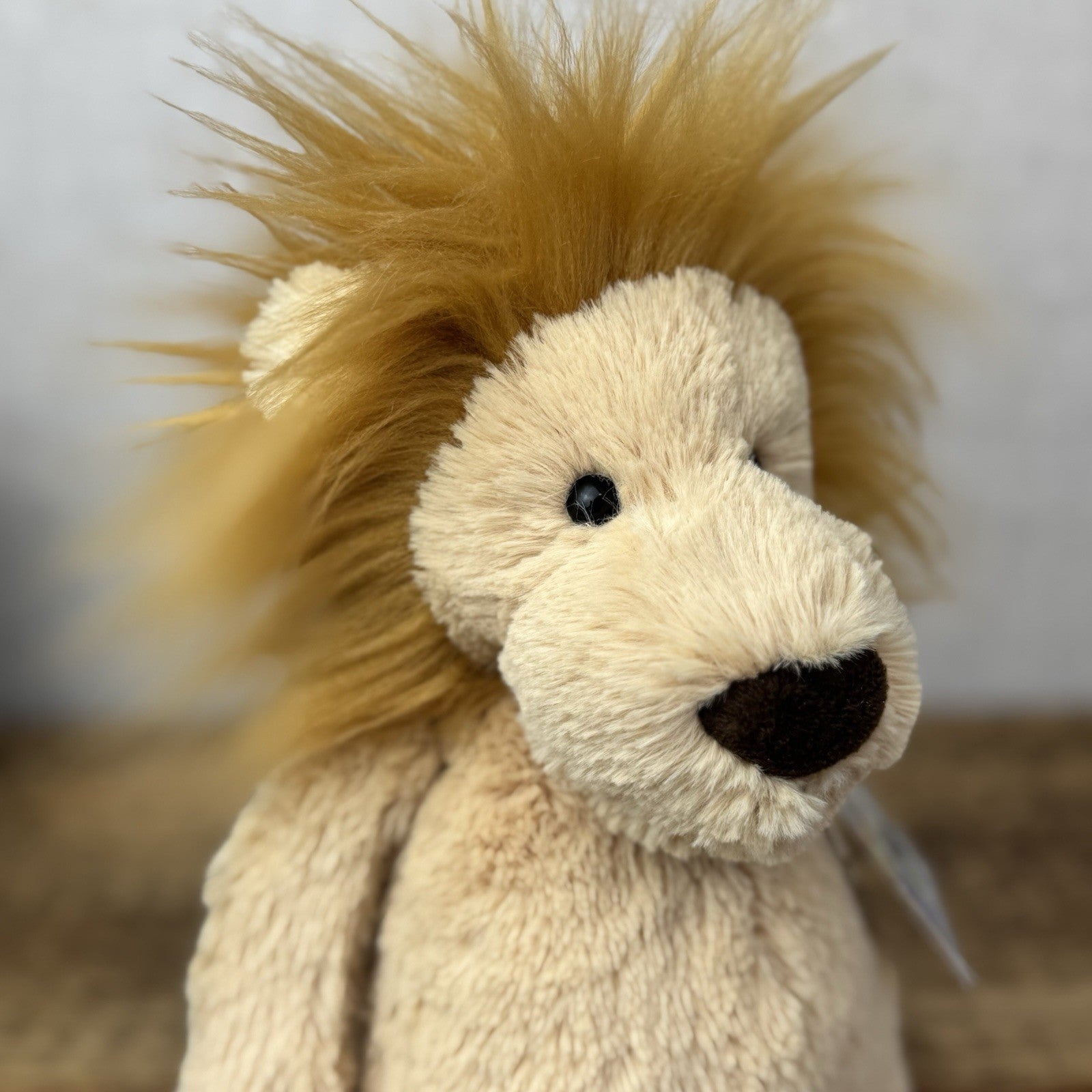 Jellycat Medium Bashful Lion Plush - Retired Medium Bashful Wild Animal 12"