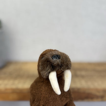 Russ Berrie Luv Pets - Wilcox Walrus Pocket Size Walrus Beanie Baby Mini Plush