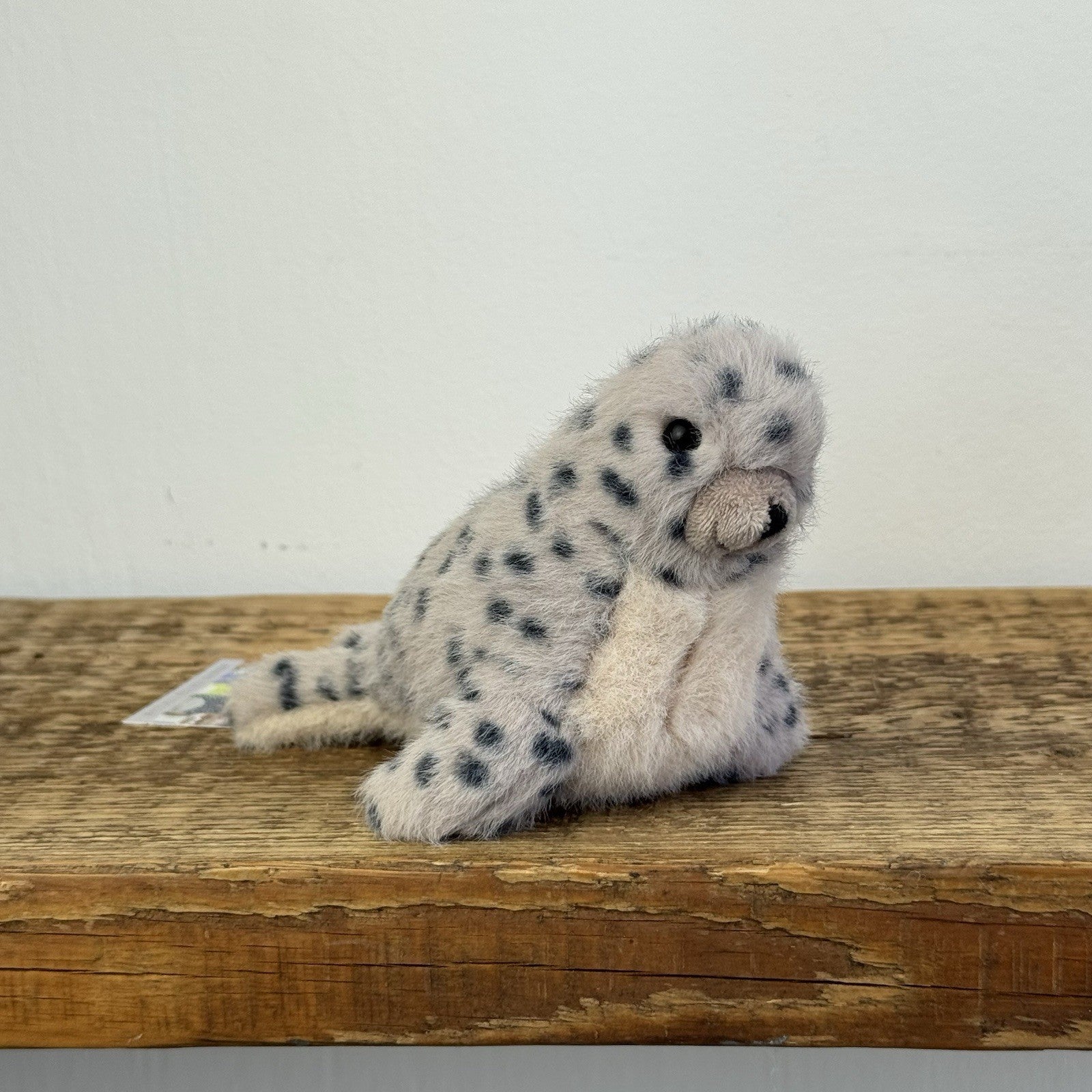 Jellycat Nauticool Spotty Seal - Tiny Fluffy Grey Seal Soft Beanie Pocket Size