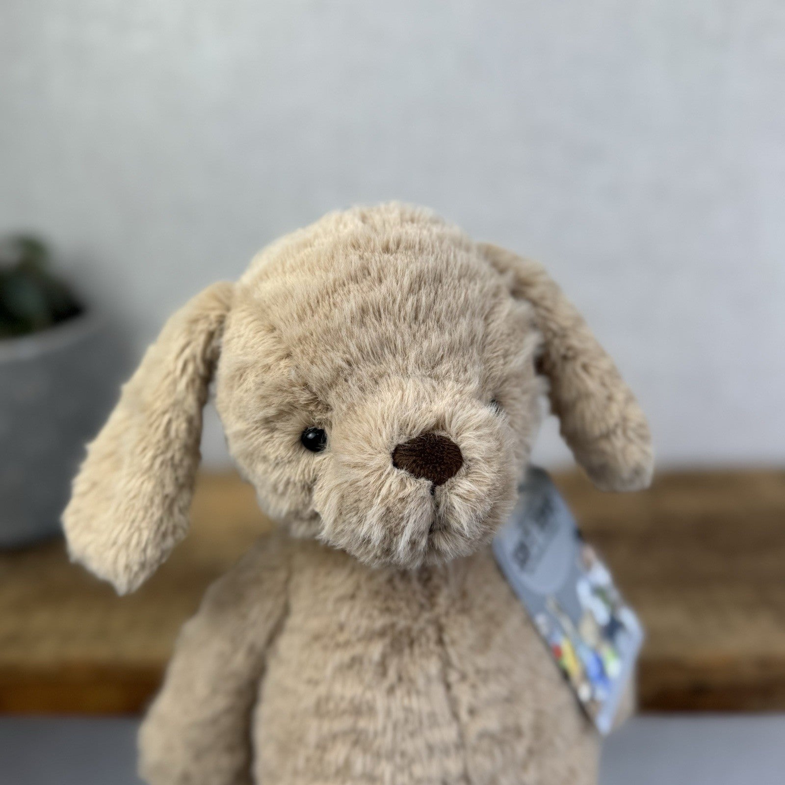 Jellycat Rolie Polie Puppy - Textured Beige Retired Puppy Soft Toy NWOT 12"