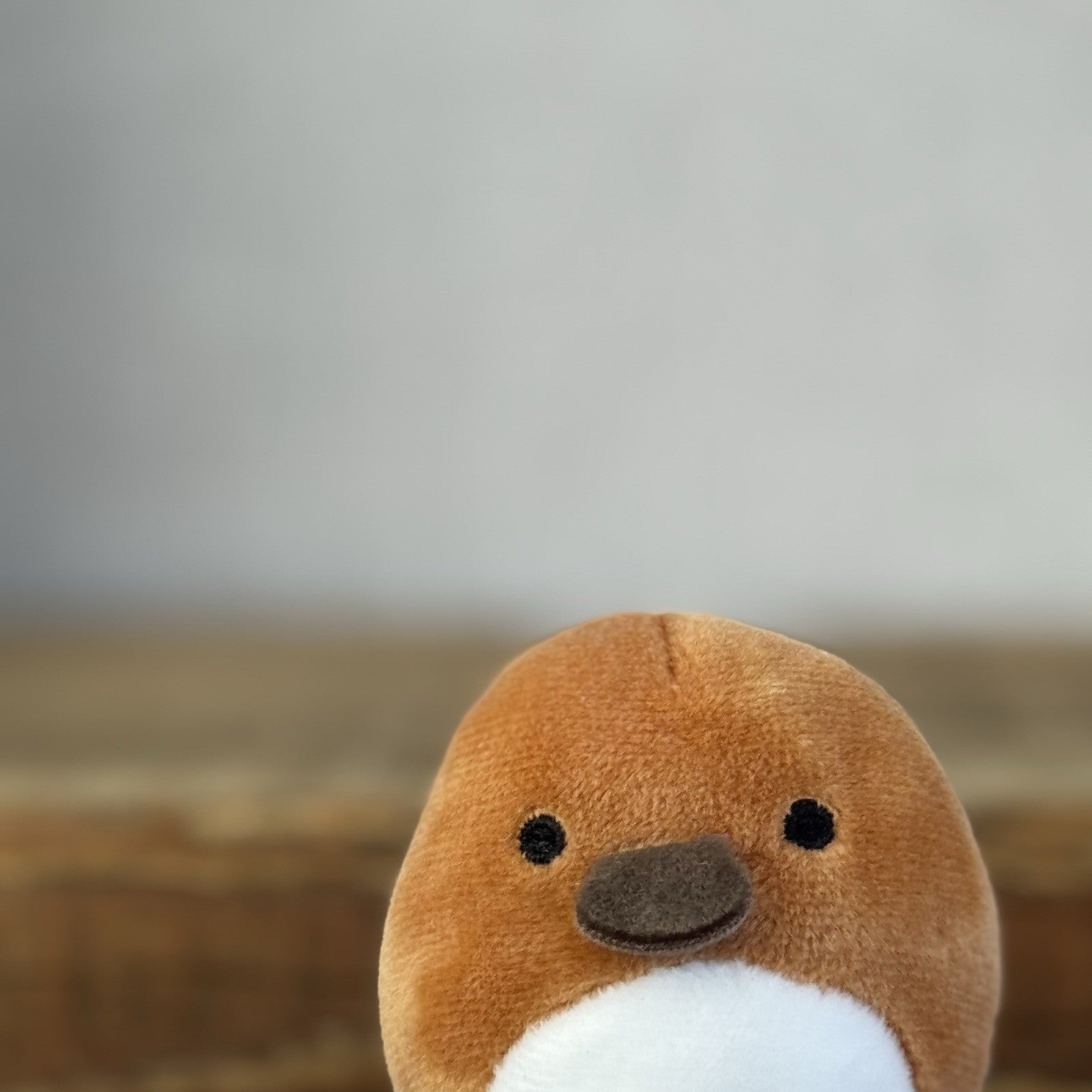 Squishmallow Squishville - Santino Platypus - Brown Platypus Sea Creature 2”