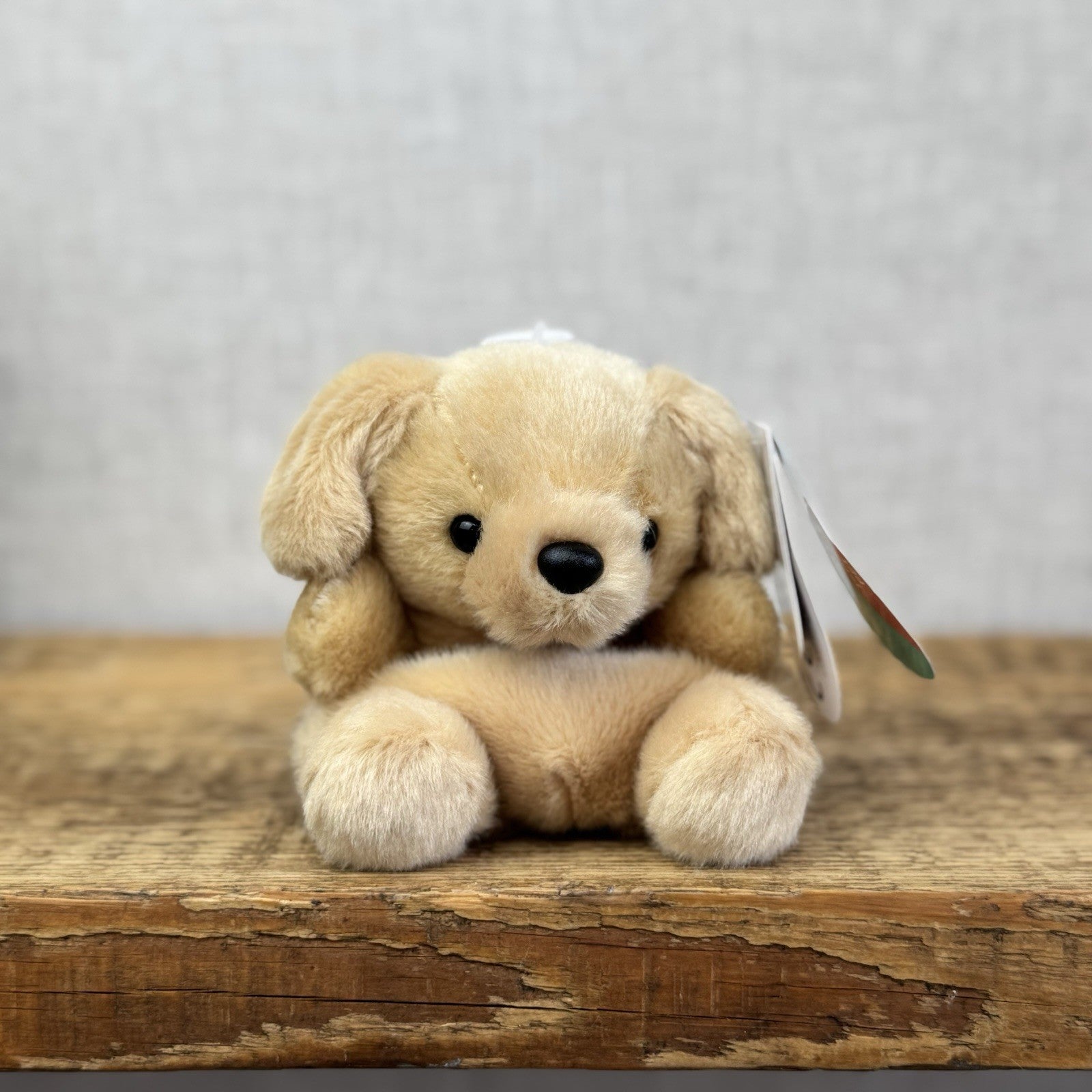 Aurora Sunny Lab - Small Labrador Soft Toy Mini - Palm Pals Mini Beanbag Plush