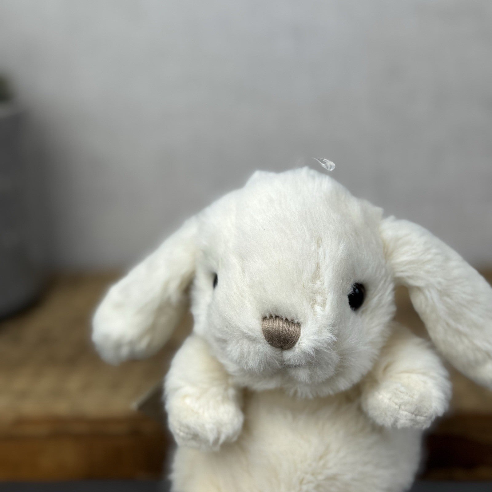 Bukowski Bears - Bukowski Mini Cream Kanini Bunny Rabbit Beanie Plush New Tag 5"