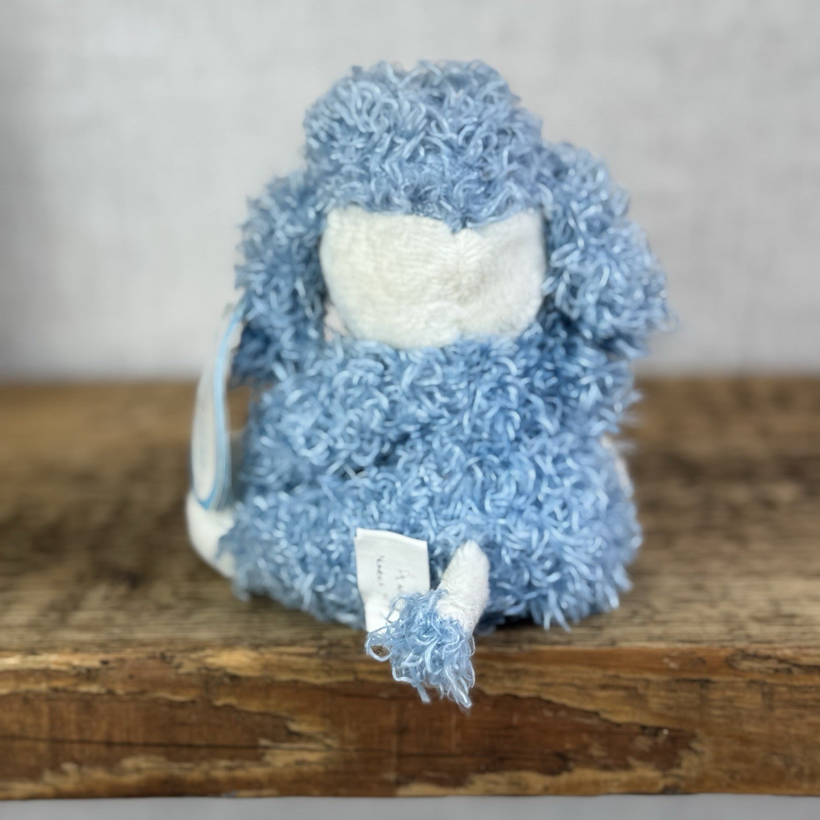 Blue Nose Friends Pearl The Poodle #39 - Mini Curly Hair Dog Holding Heart 5"