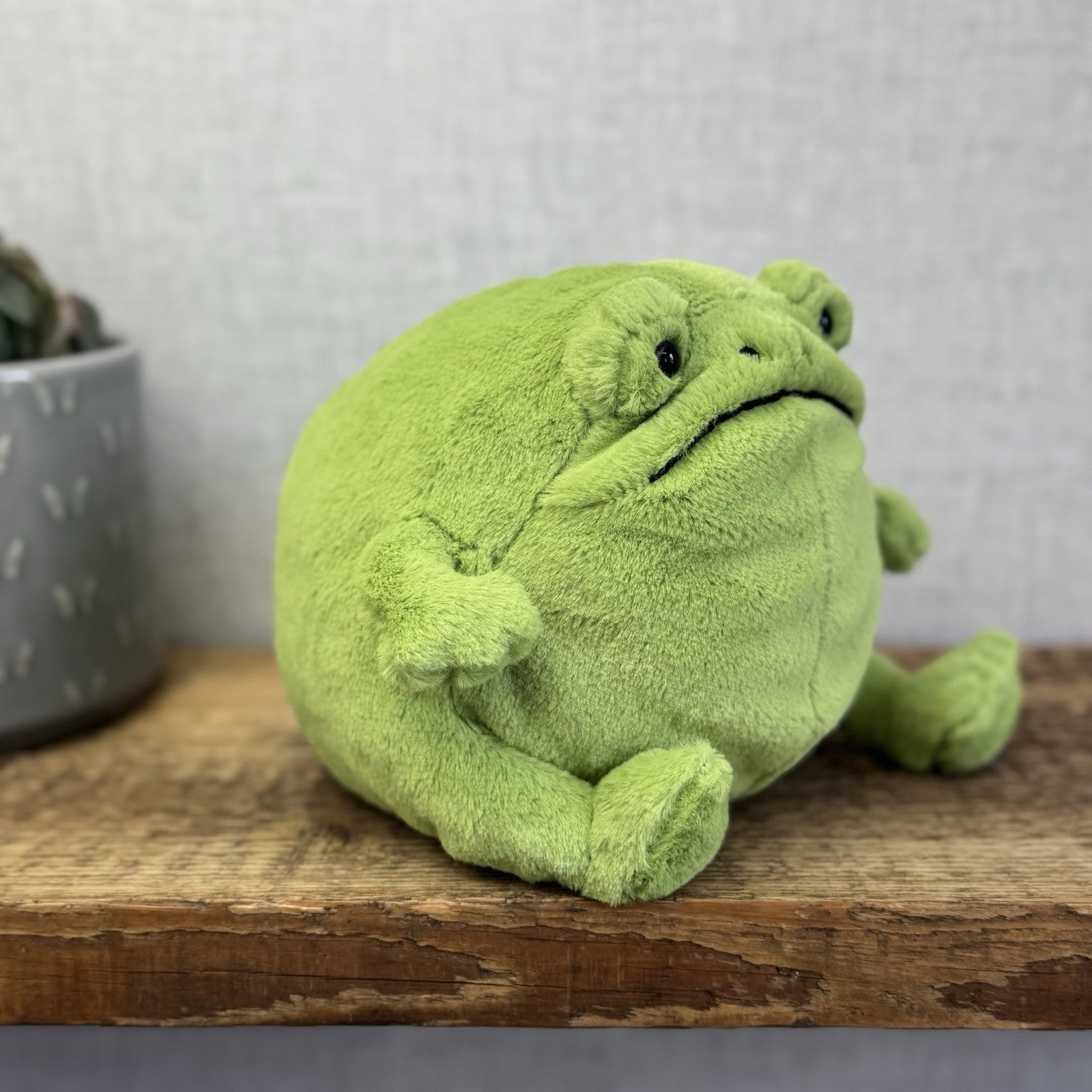 Jellycat Ricky Rain Frog - Green Soft Toy Frog Beanie Plush Medium 7"
