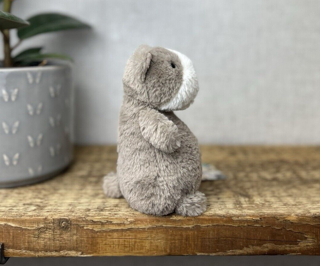 Jellycat Nutmeg Hamster - Small Brown Potbelly Hamster - Chubby Hamster Plush 6"