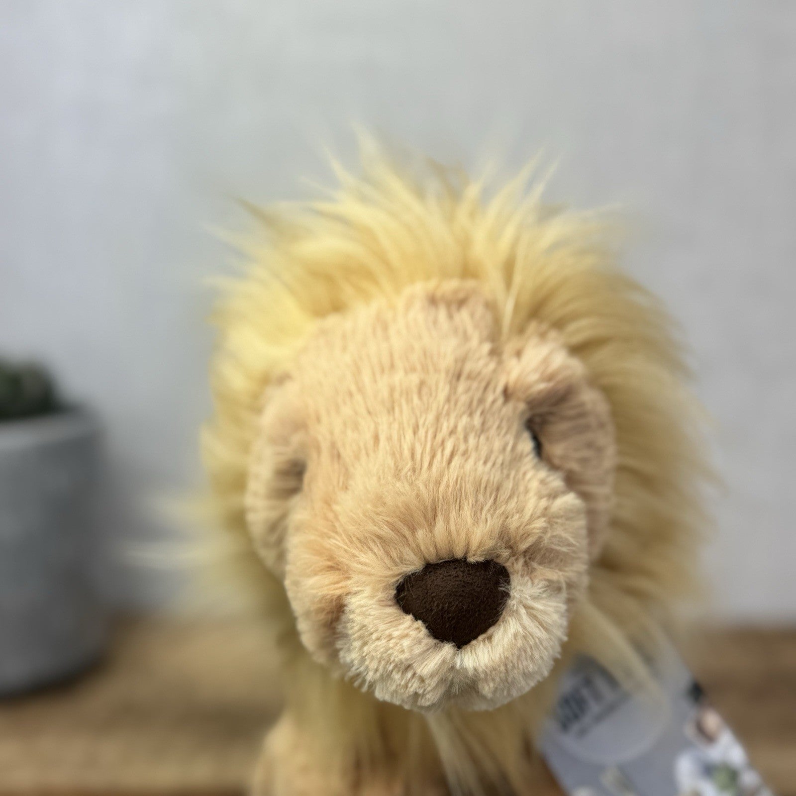 Jellycat Leonardo Lion Medium Wild CatTail - Sitting Lion Beanie Plush Retired