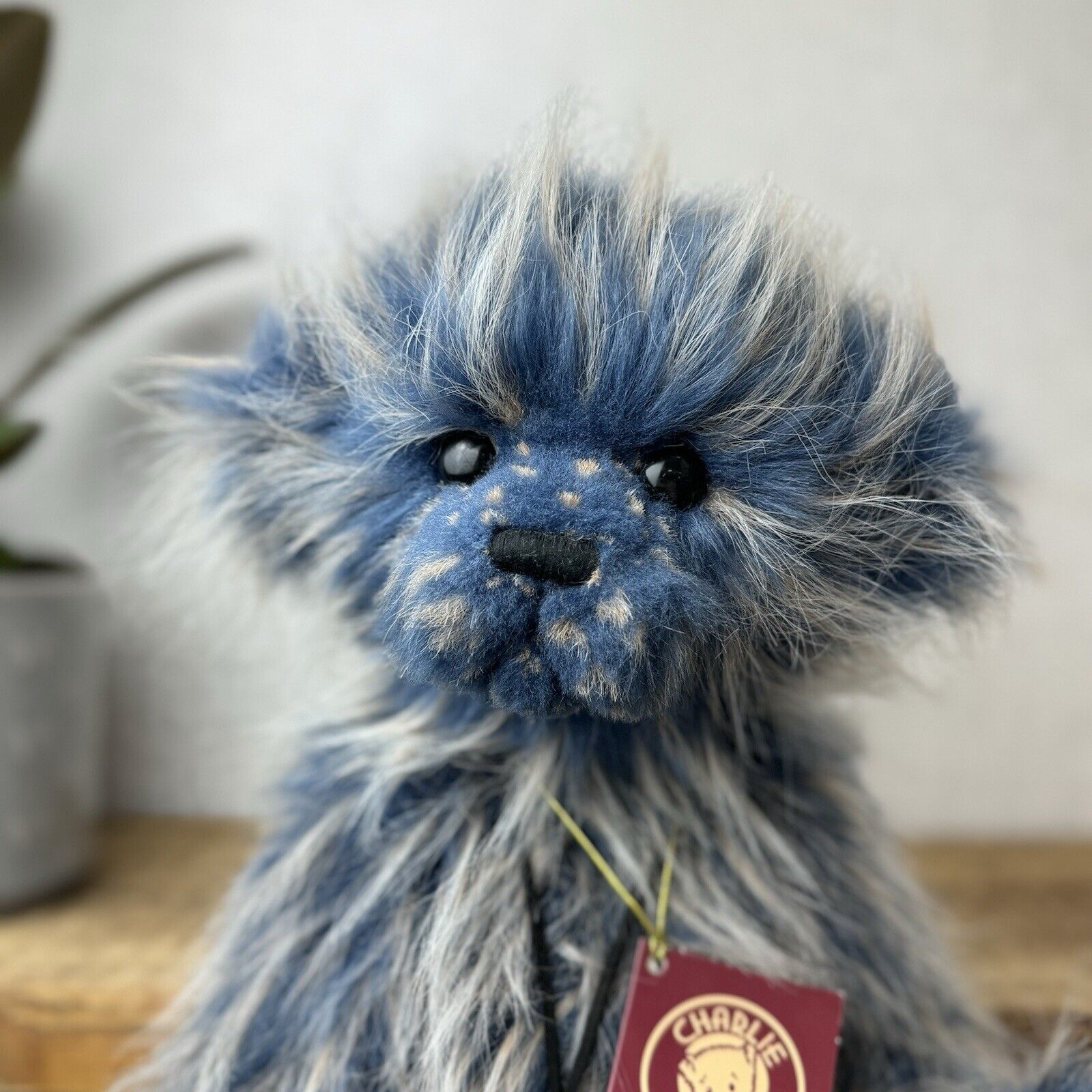 Charlie Bear Luna - New With Tags - Designed By Heather Lyell - CB140032