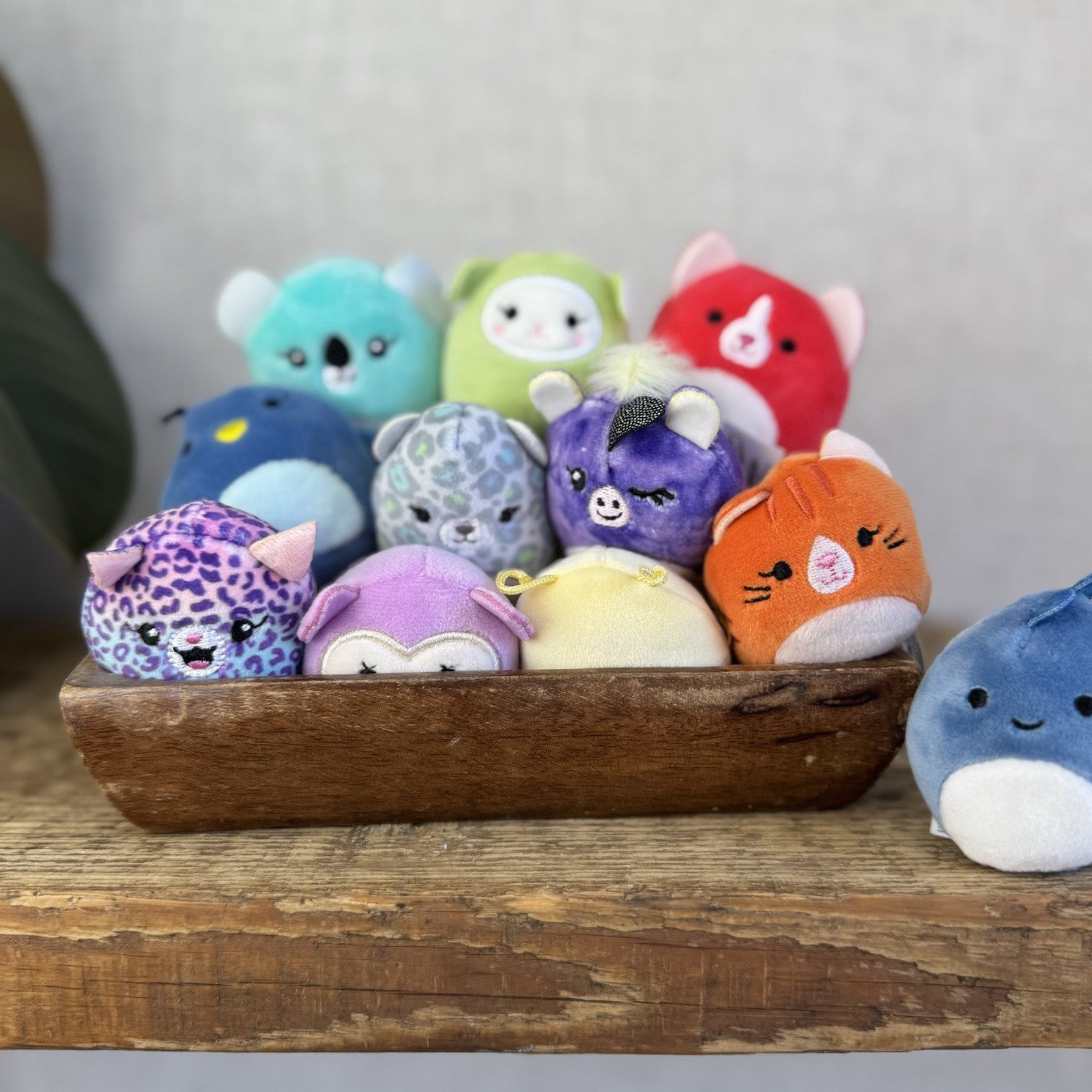 Squishmallow Squishville Bundle x12 - Mixed Bundle Tiny Squishmallow 2" Bright