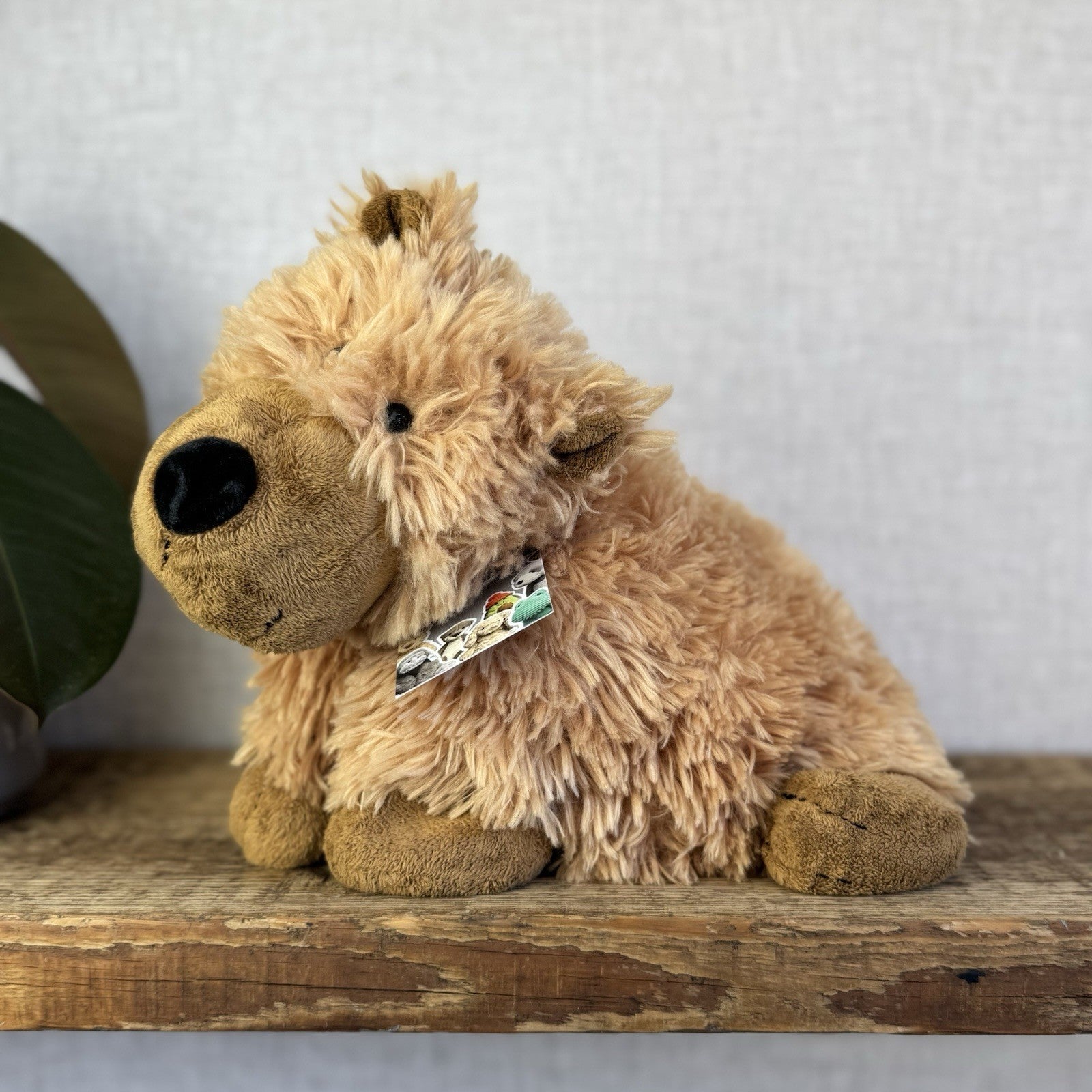 Jellycat Medium Grizzly Bear Rare Truffles Cushion Floppy Beanie Bear Brown 14”