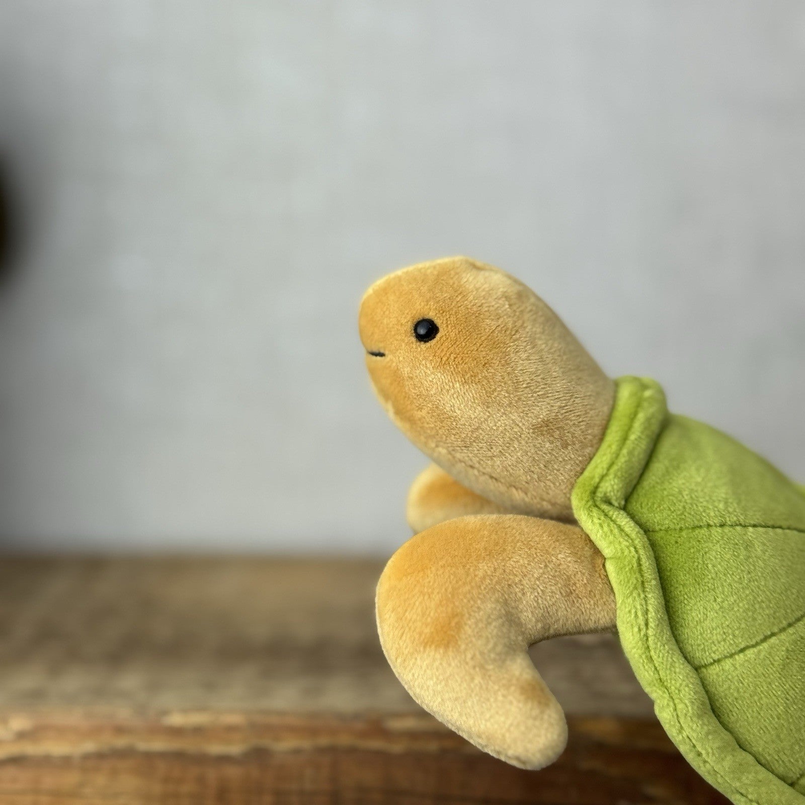 Jellycat Small CeeCee Turtle - Small Green Velour Turtle Beanie retired 6”