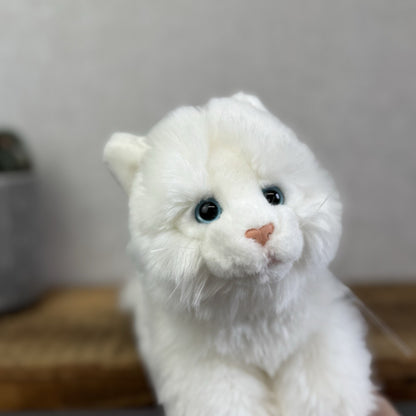 Animal Alley Realistic White Fluffy Cat - Fluffy Beanie Mini Cat Soft Toy 8"
