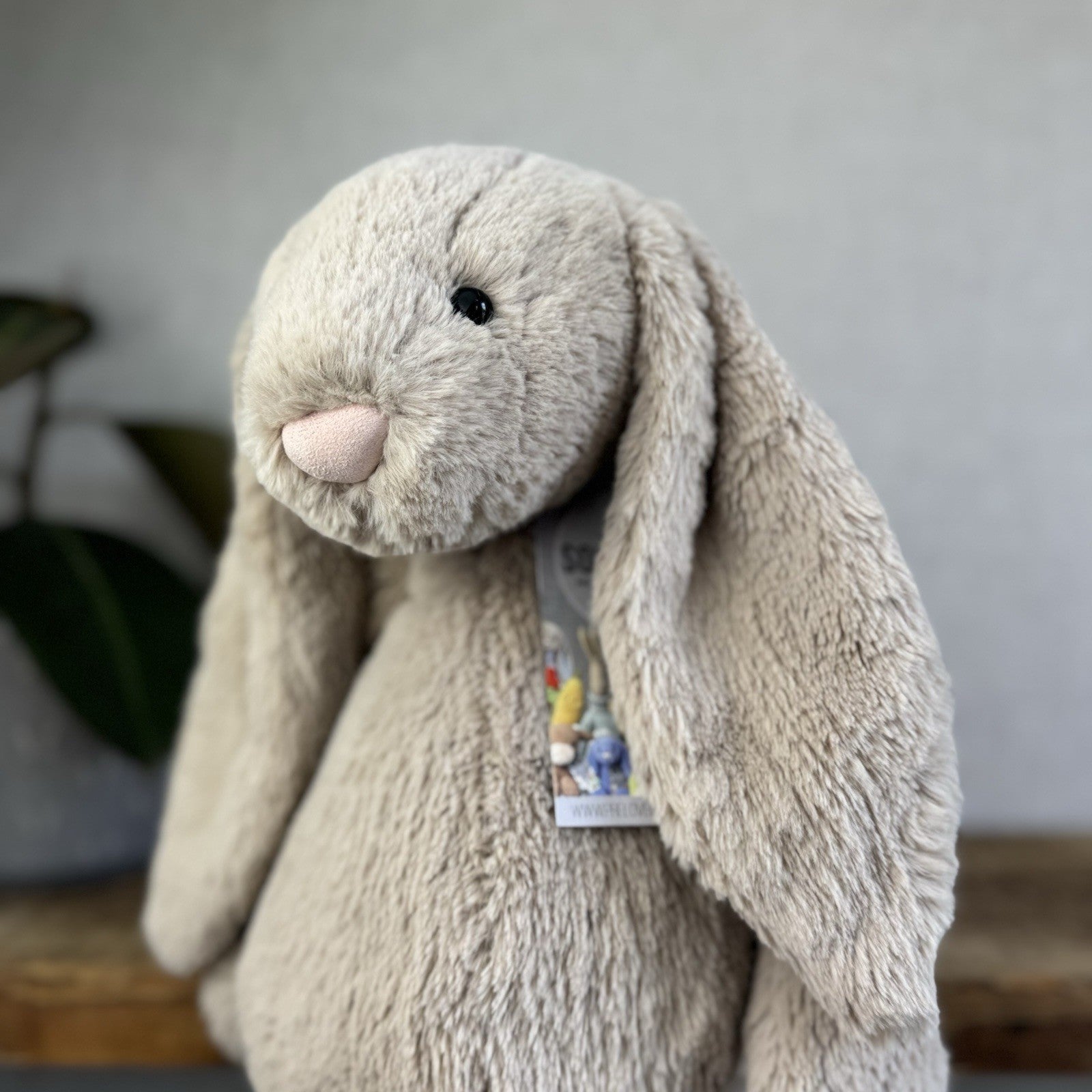 Jellycat Large Bashful Beige Bunny Rabbit - Old Style Large Beige Bunny 16”