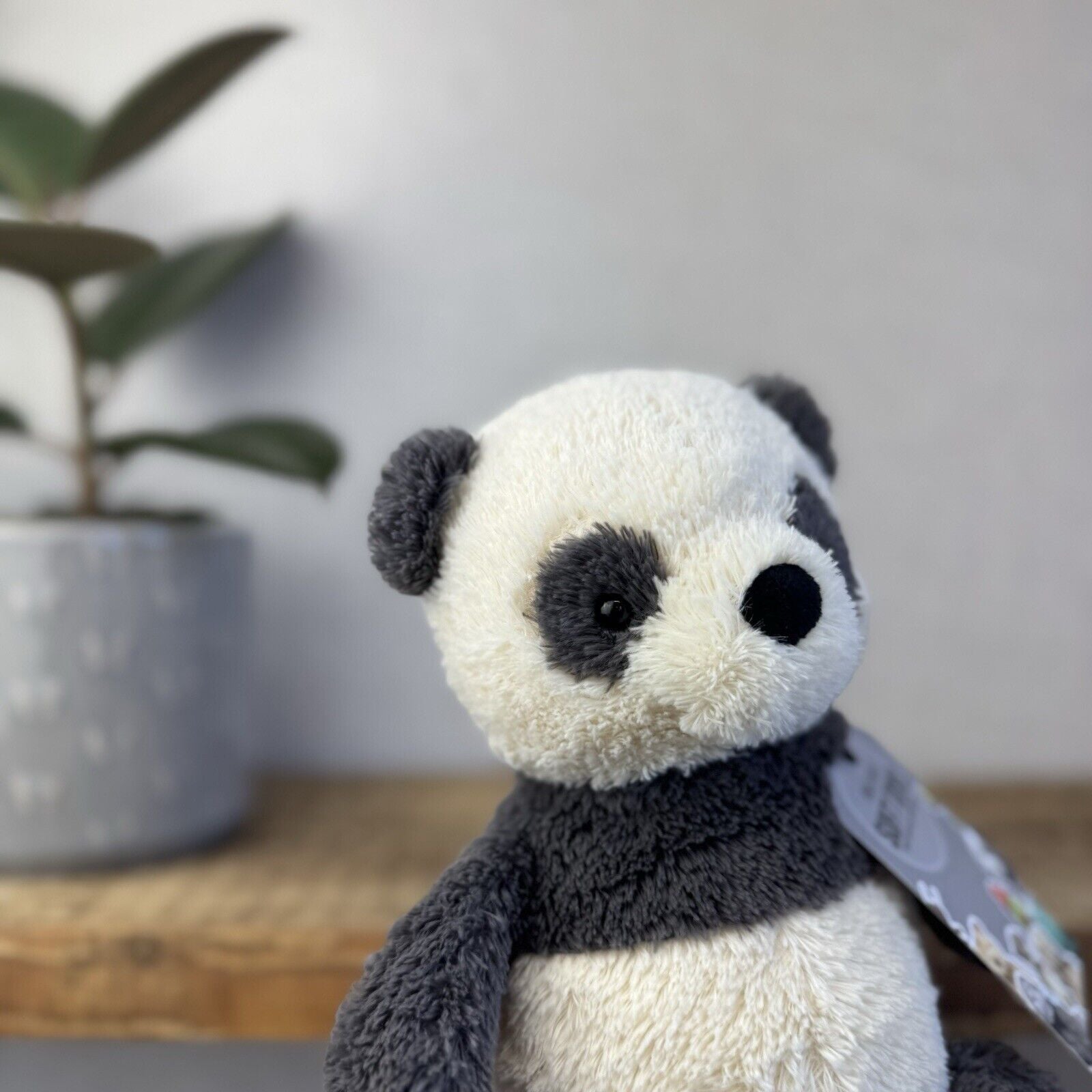 Jellycat Peanut Panda - Medium Peanut Scruffy Small Chubby Panda Plush Beanie 8”