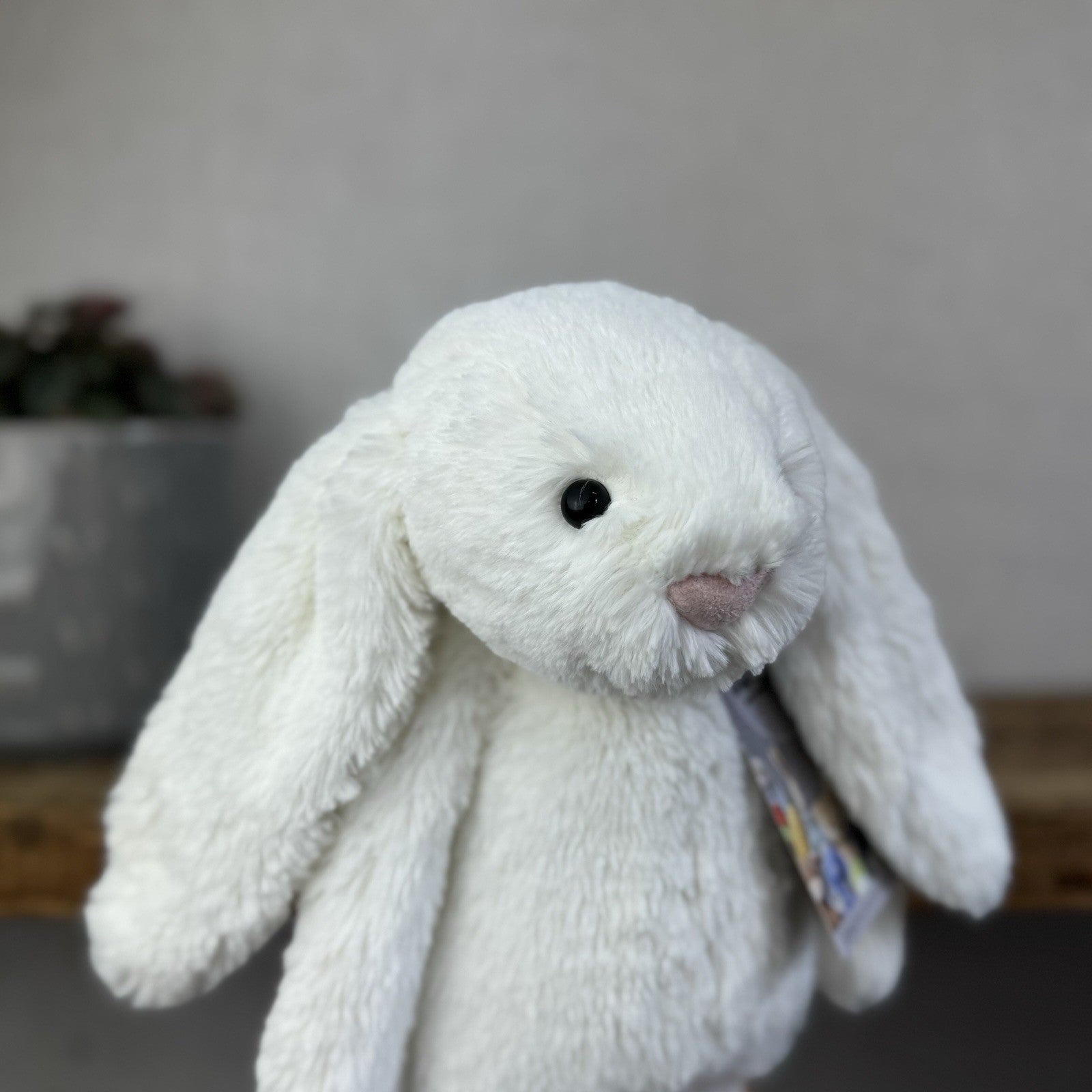Jellycat The Little White Company White Bashful Bunny White Bunny Retired 12"