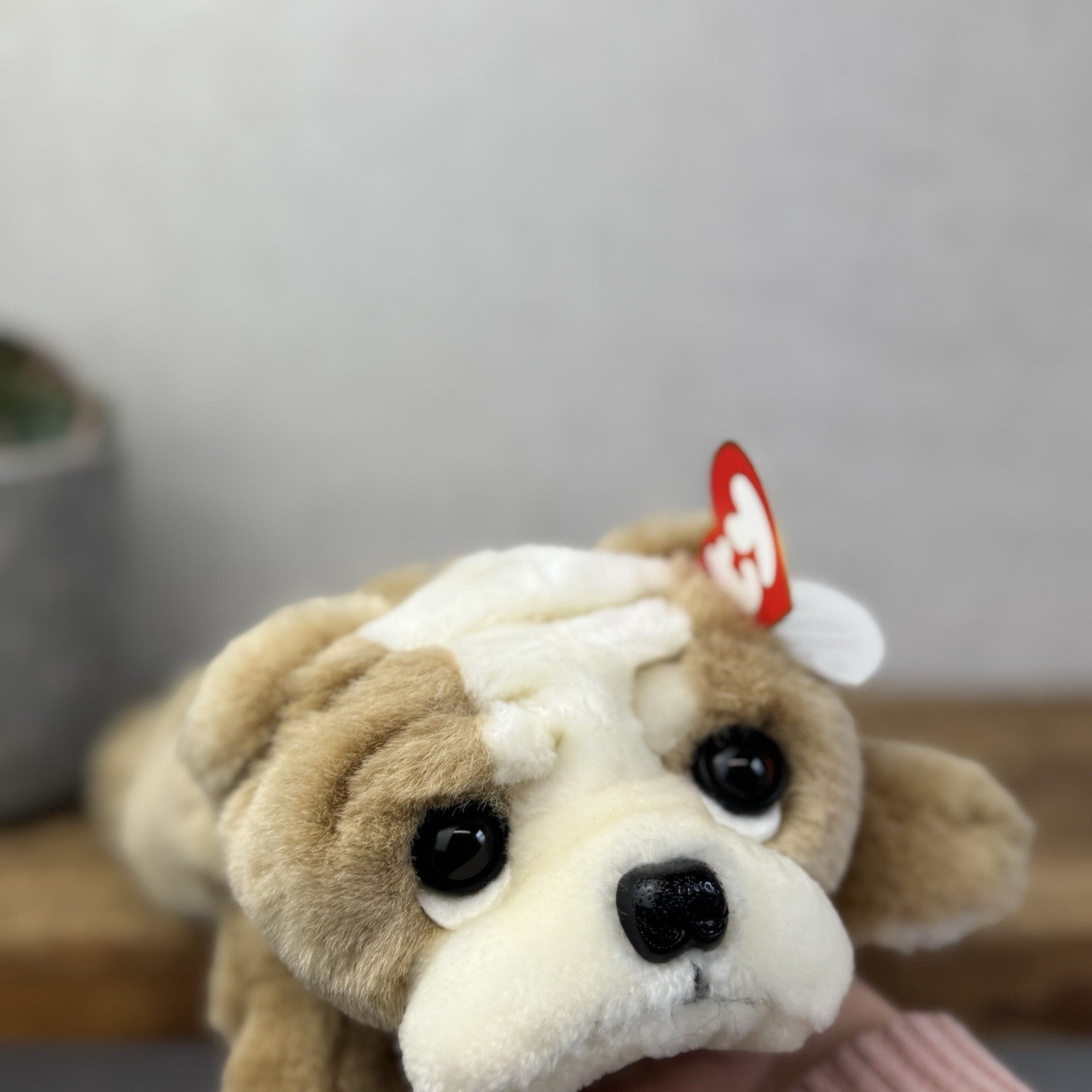Ty Classic Beanie Buddies Churchill Bulldog Puppy Dog - Wrinkly Dog Pristine New