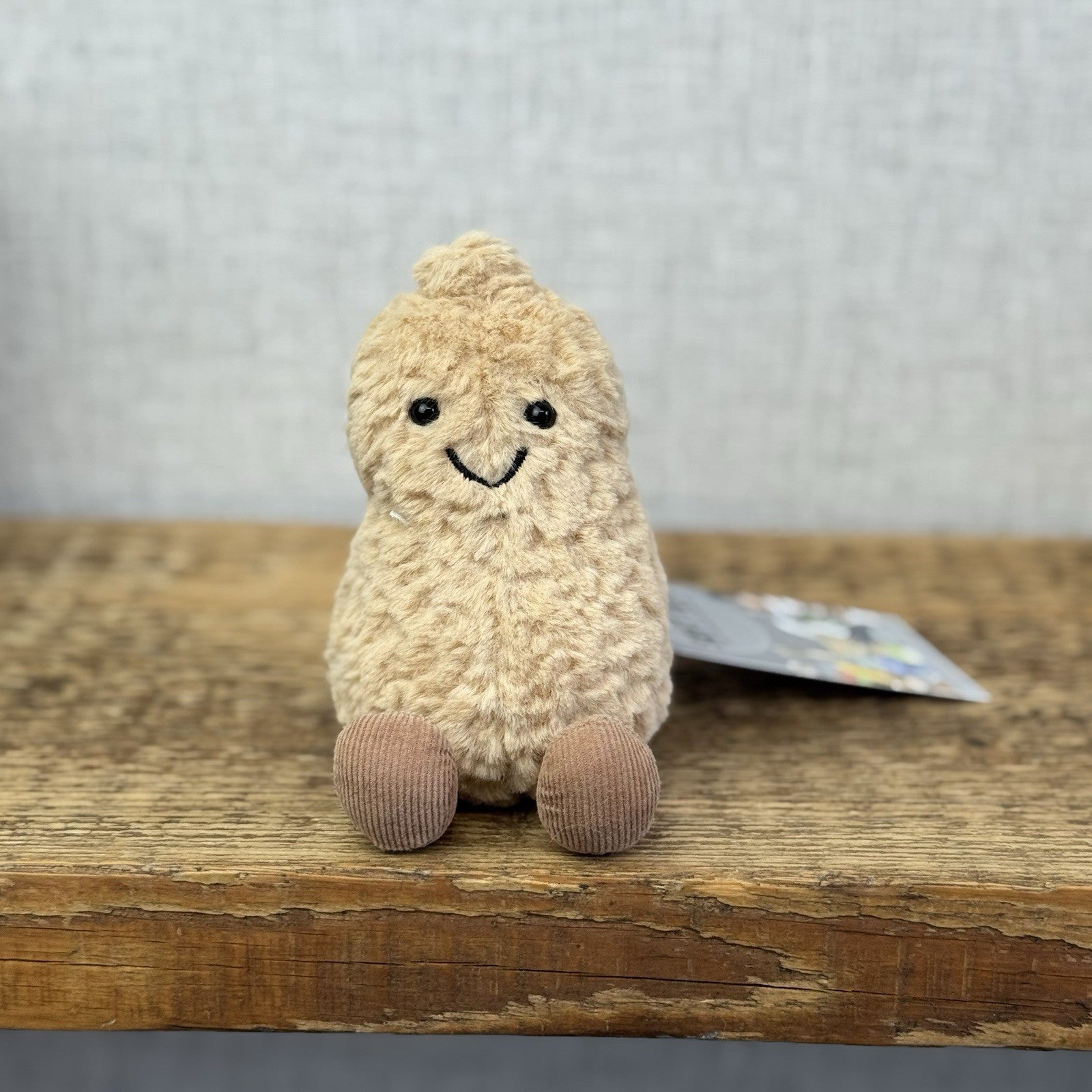 Jellycat Amusable Peanut - Small Beige Peanut Soft Toy Beanie 5"