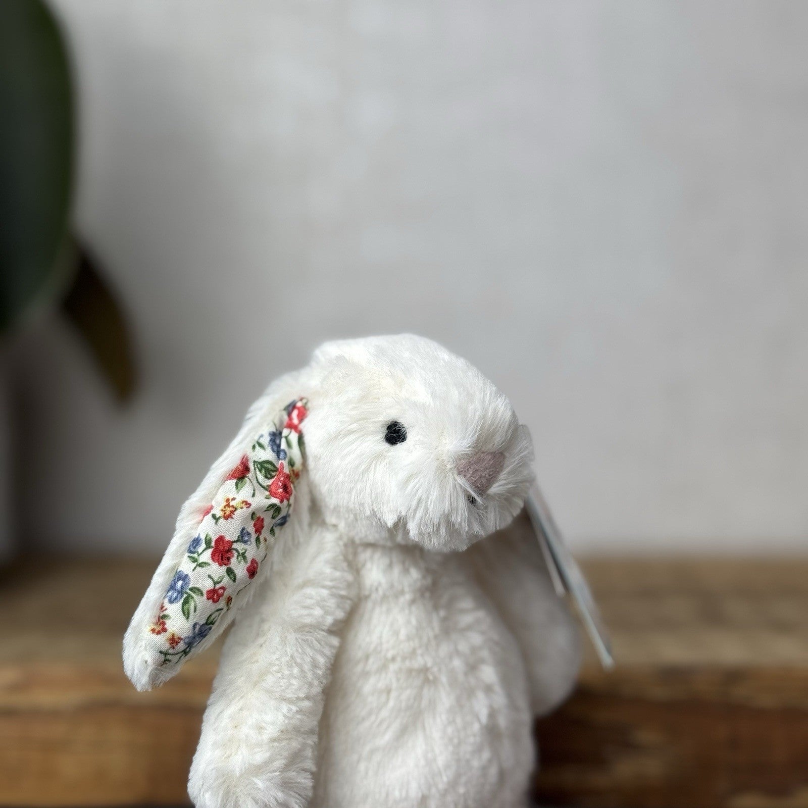 Jellycat Baby Cream Blossom Bashful Bunny - Baby Cream Rabbit New With Tags 5”