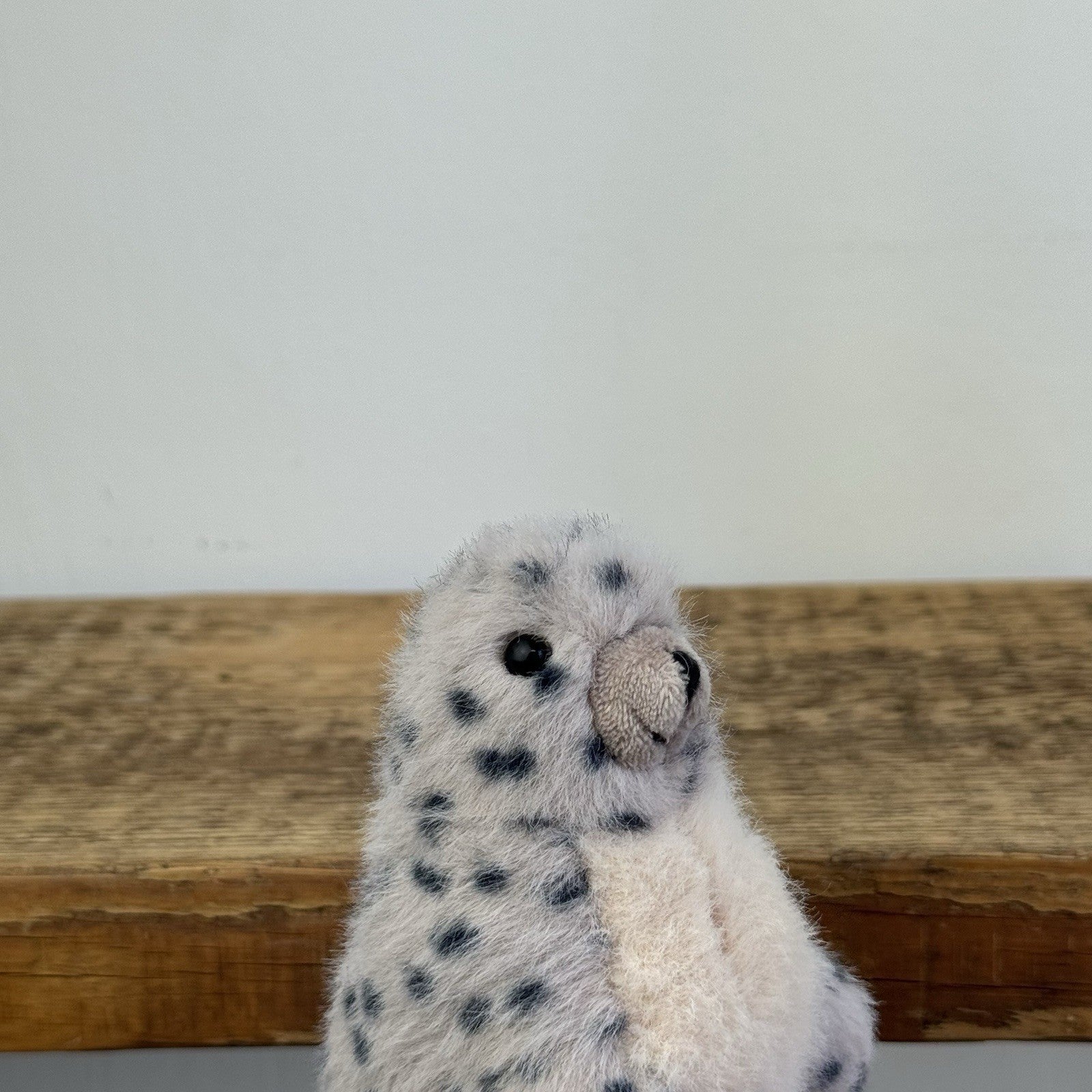 Jellycat Nauticool Spotty Seal - Tiny Fluffy Grey Seal Soft Beanie Pocket Size
