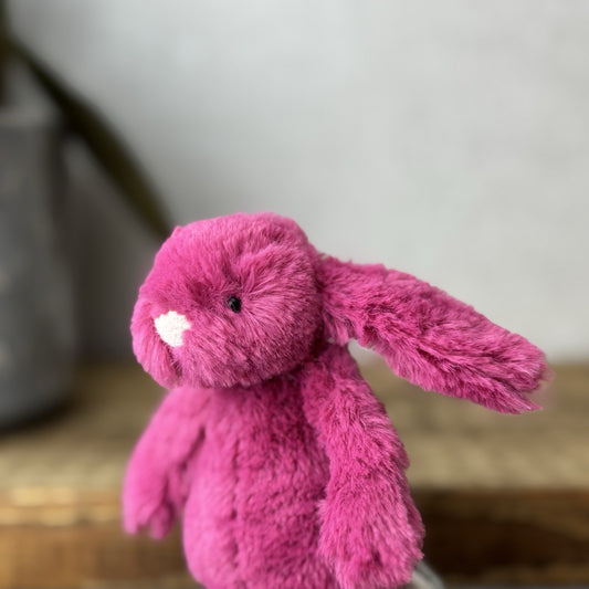 Jellycat Tiny Baby Rose Bashful Bunny - Baby Little Bright Pink Bunny Rabbit 5”
