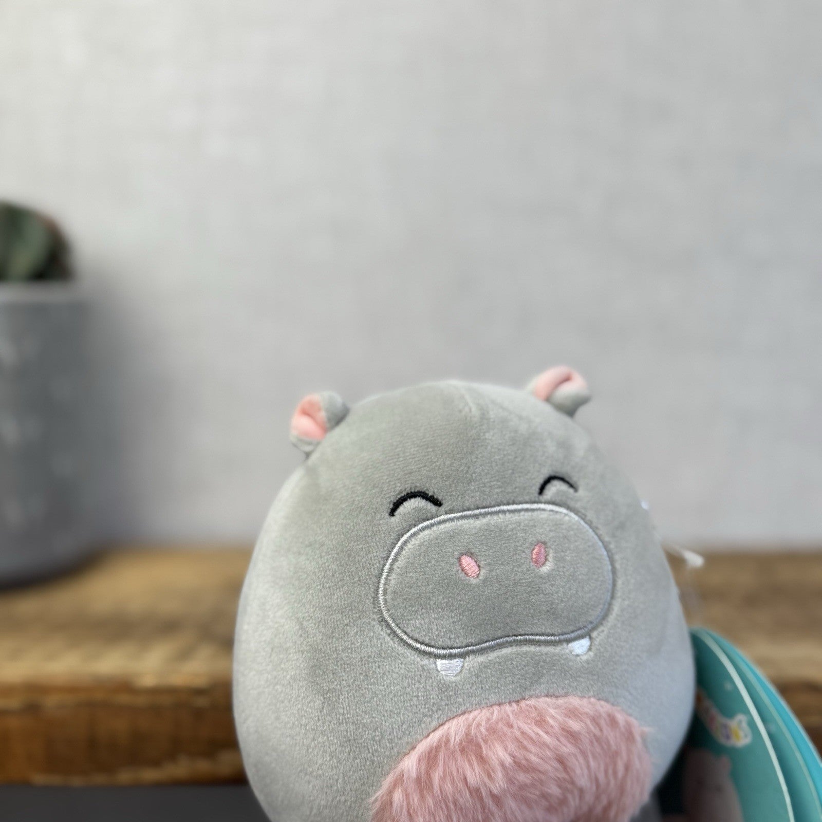 Squishmallow 5" Harrison Hippo Small Plush Squish New With Tags Grey/pink