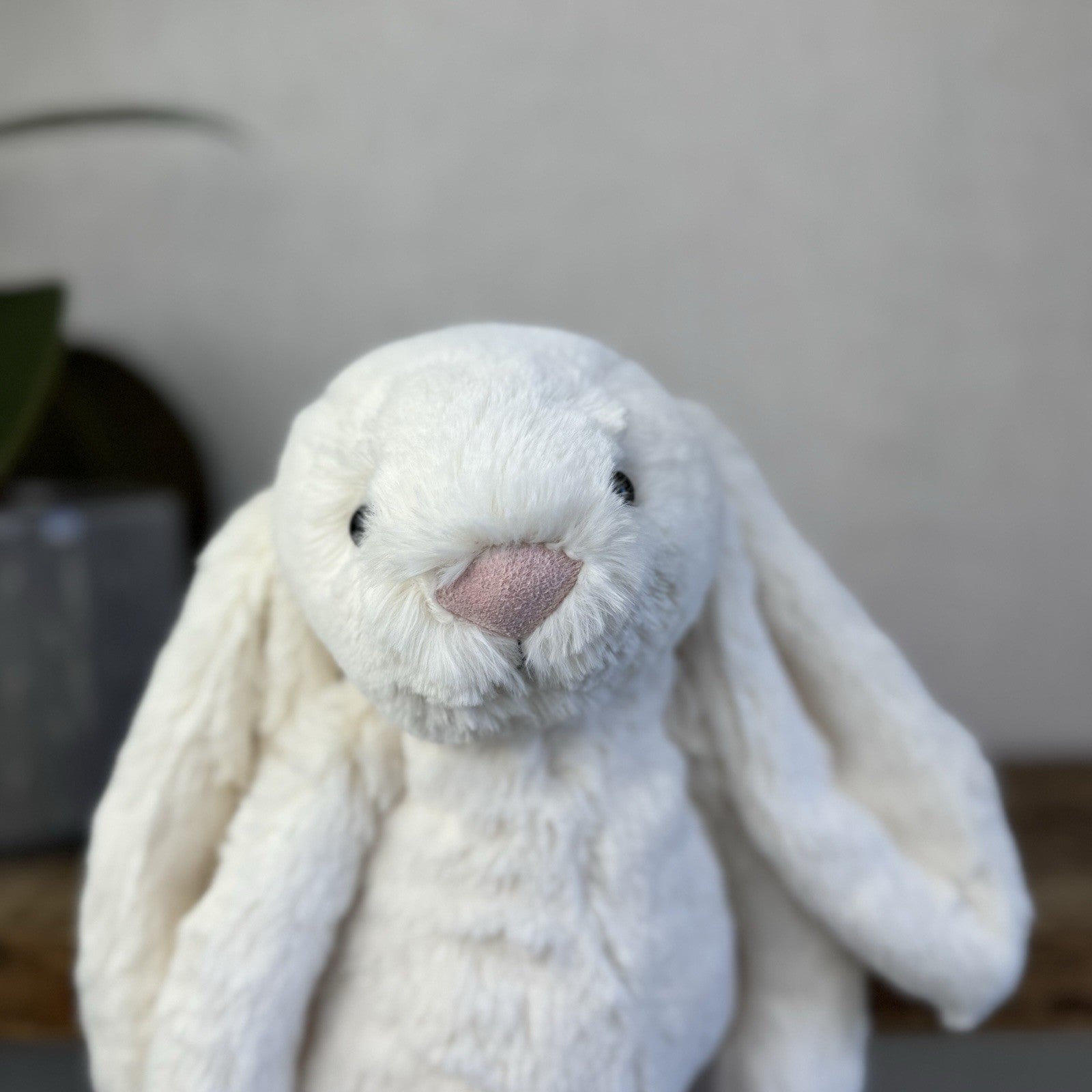 Jellycat Medium Cream Bashful Rabbit - Cream Off White Medium Bunny 12” New Tags