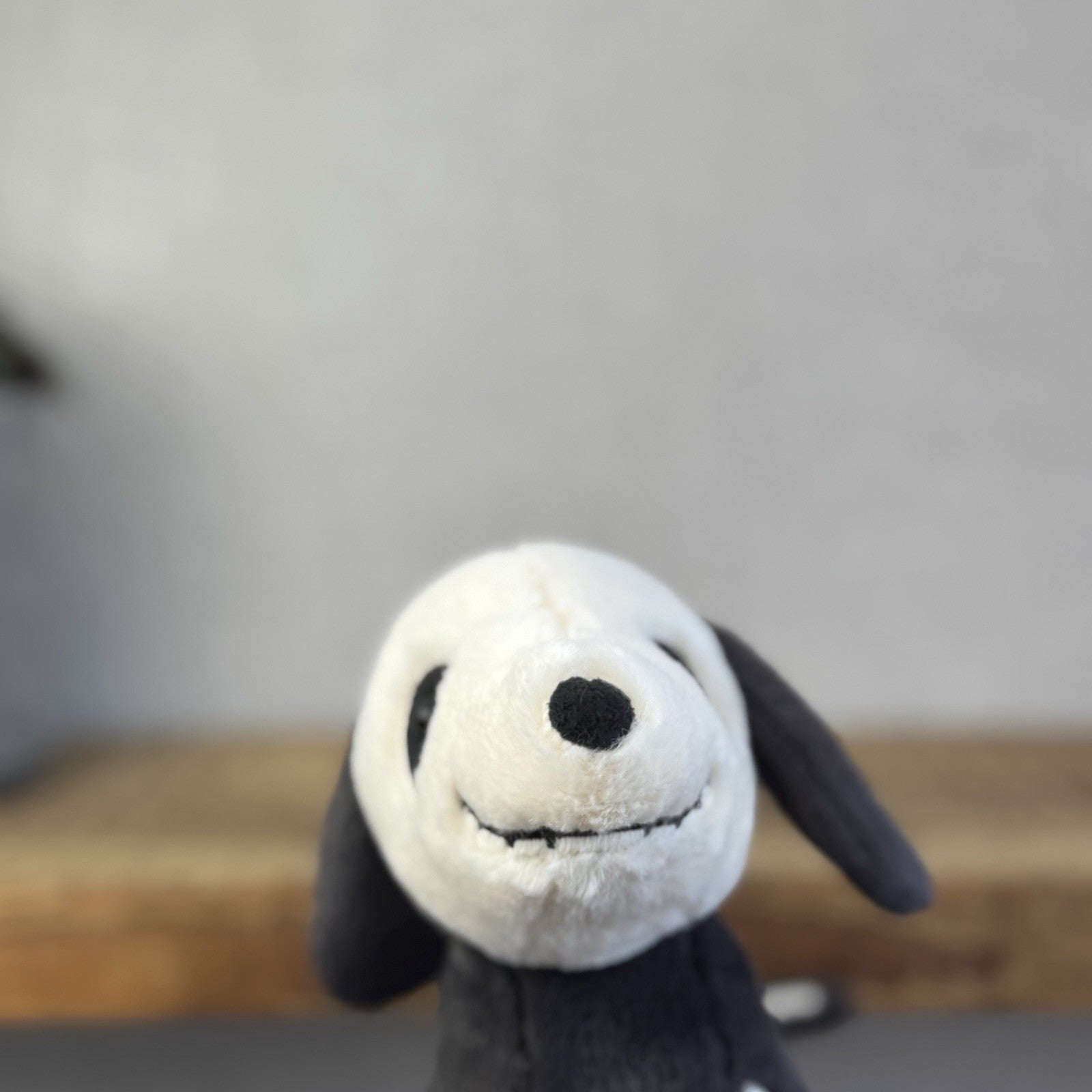 Jellycat Skeledog Dan - Skeleton Dog Beanie Plush Toy Collectible NWT 8"
