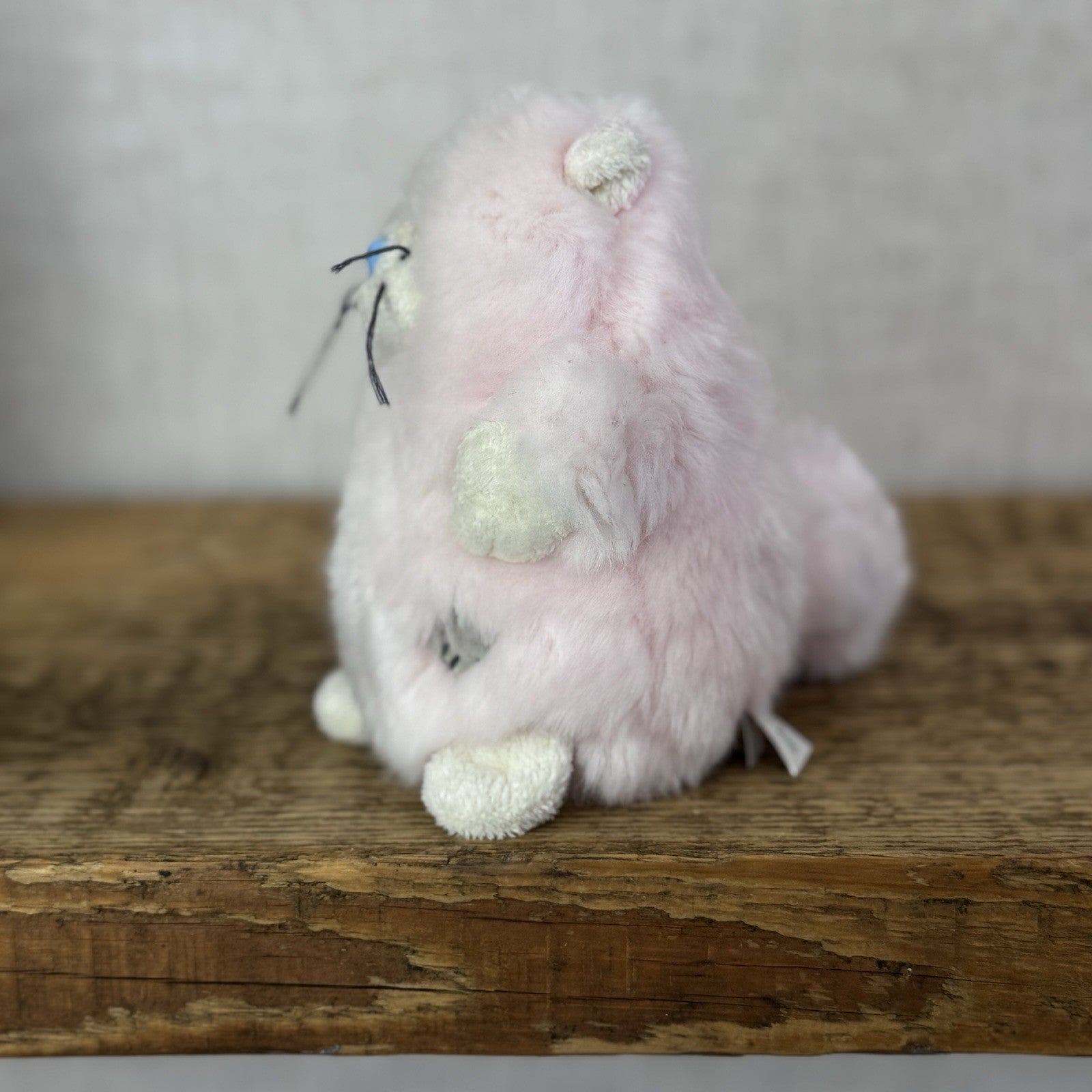 Blue Nose Friends Paws Pink Persian Cat #105 - Mini Pink Fluffy Kitten