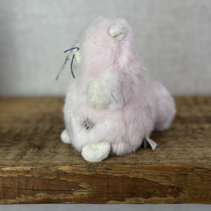 Blue Nose Friends Paws Pink Persian Cat #105 - Mini Pink Fluffy Kitten