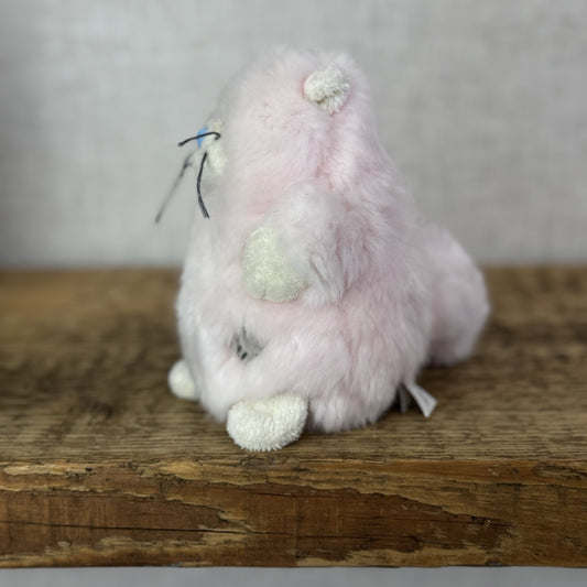 Blue Nose Friends Paws Pink Persian Cat #105 - Mini Pink Fluffy Kitten