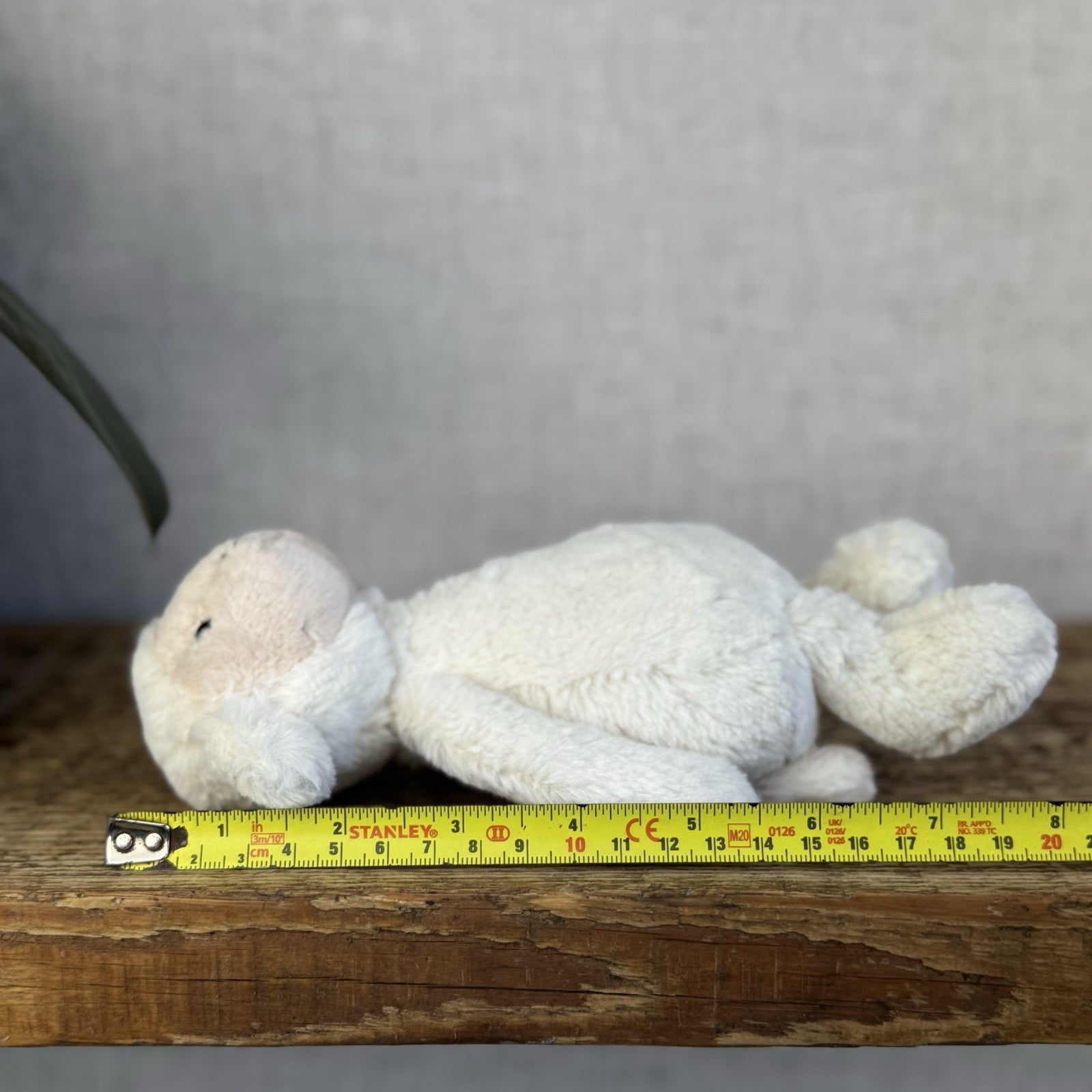 Jellycat Small Bashful Lamb Soft Toy Sheep New With Tags Cream Beanie 8” Tags
