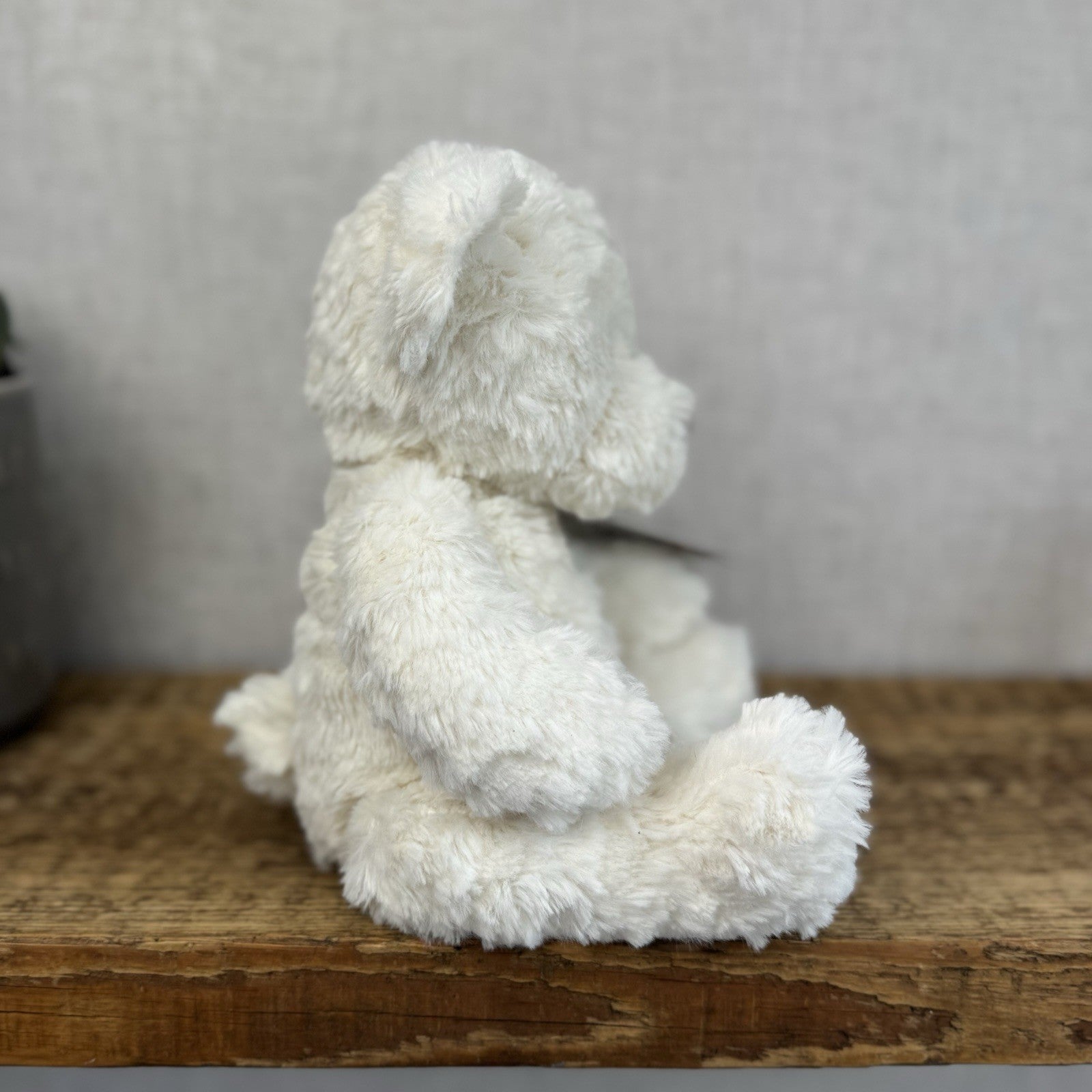 Jellycat Wilkie Bear - Little Jellycat White Traditional Bear Textured Fur Rare