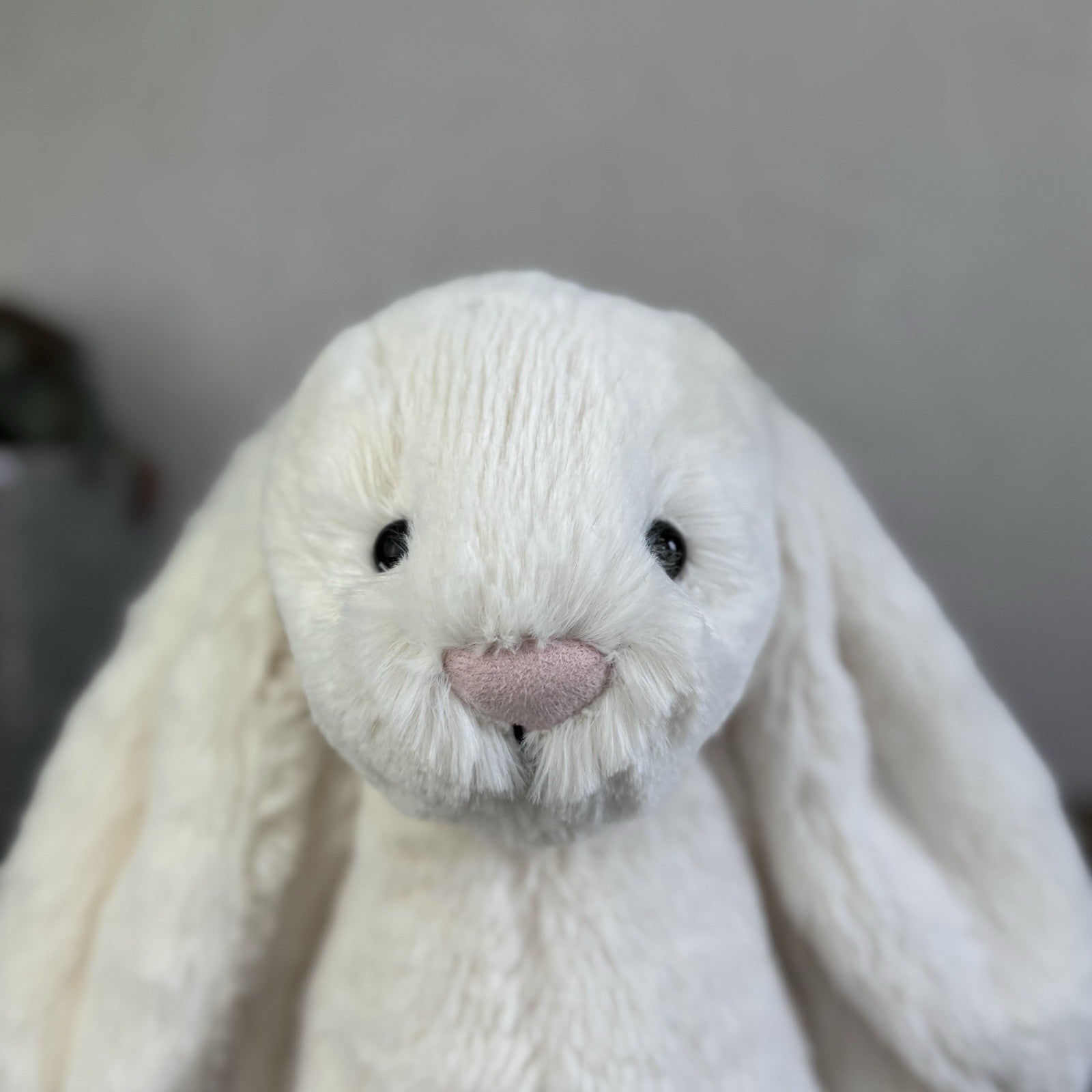 Jellycat Medium Cream Bashful Rabbit - Cream Off White Medium Bunny 12” New Tags