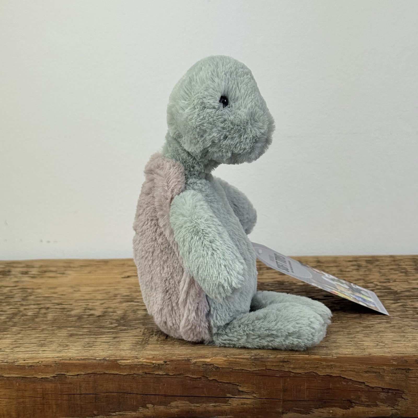 Jellycat Small Bashful Turtle - Small Green Turtle Soft Toy Retired 6" 