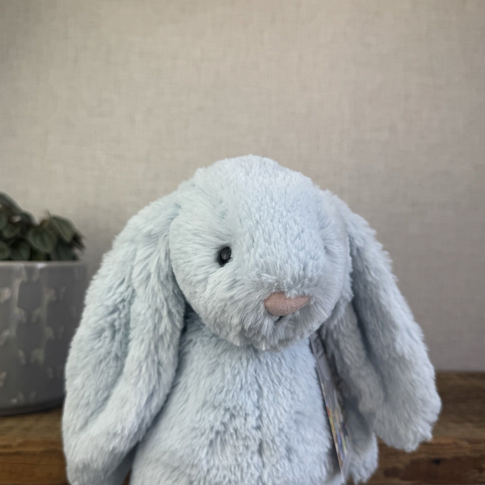 Jellycat Medium Bashful Blue Bunny - Baby Blue Rabbit Beanie Medium 12" (#2)