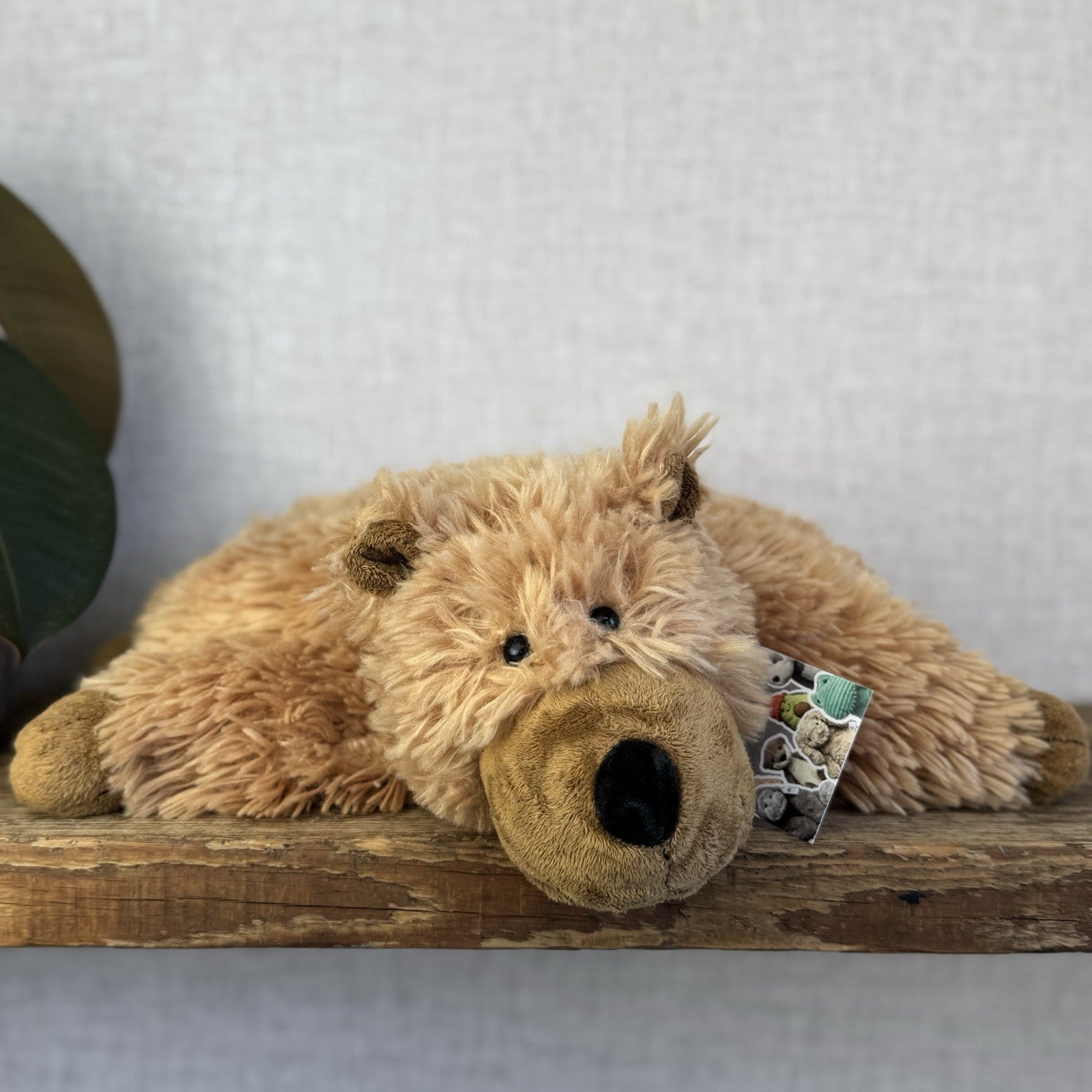 Jellycat Medium Grizzly Bear Rare Truffles Cushion Floppy Beanie Bear Brown 14”