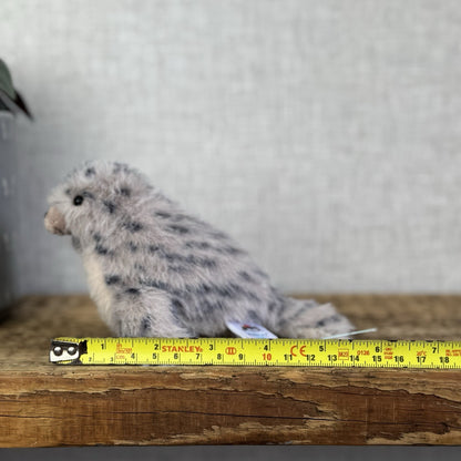 Jellycat Nauticool Spotty Seal - Mini Fluffy Grey Spotty Seal Beanie Plush Tags