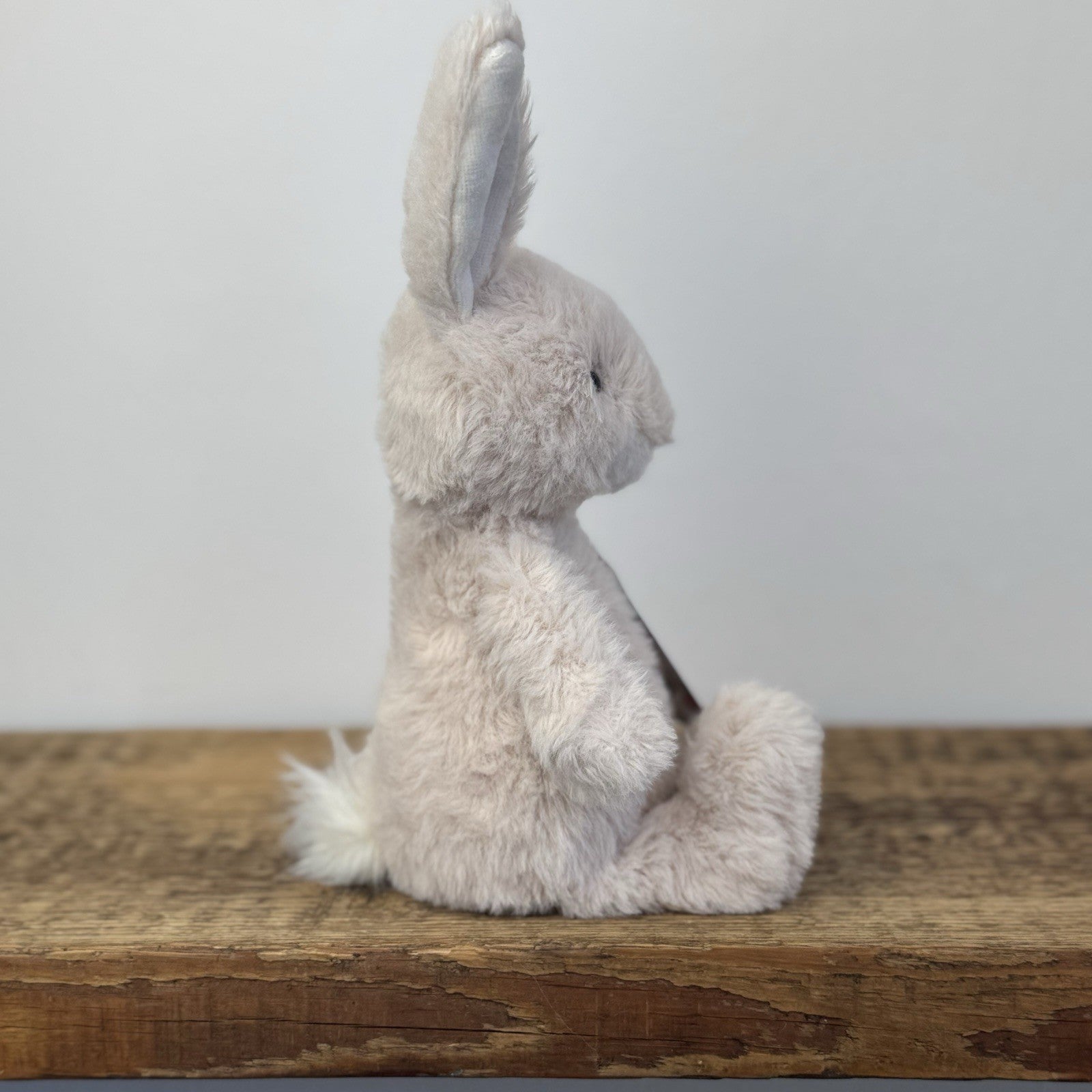 Jellycat Nibbles Bunny Beige - Rare/Retired Fluffy Bunny Small Size 10"