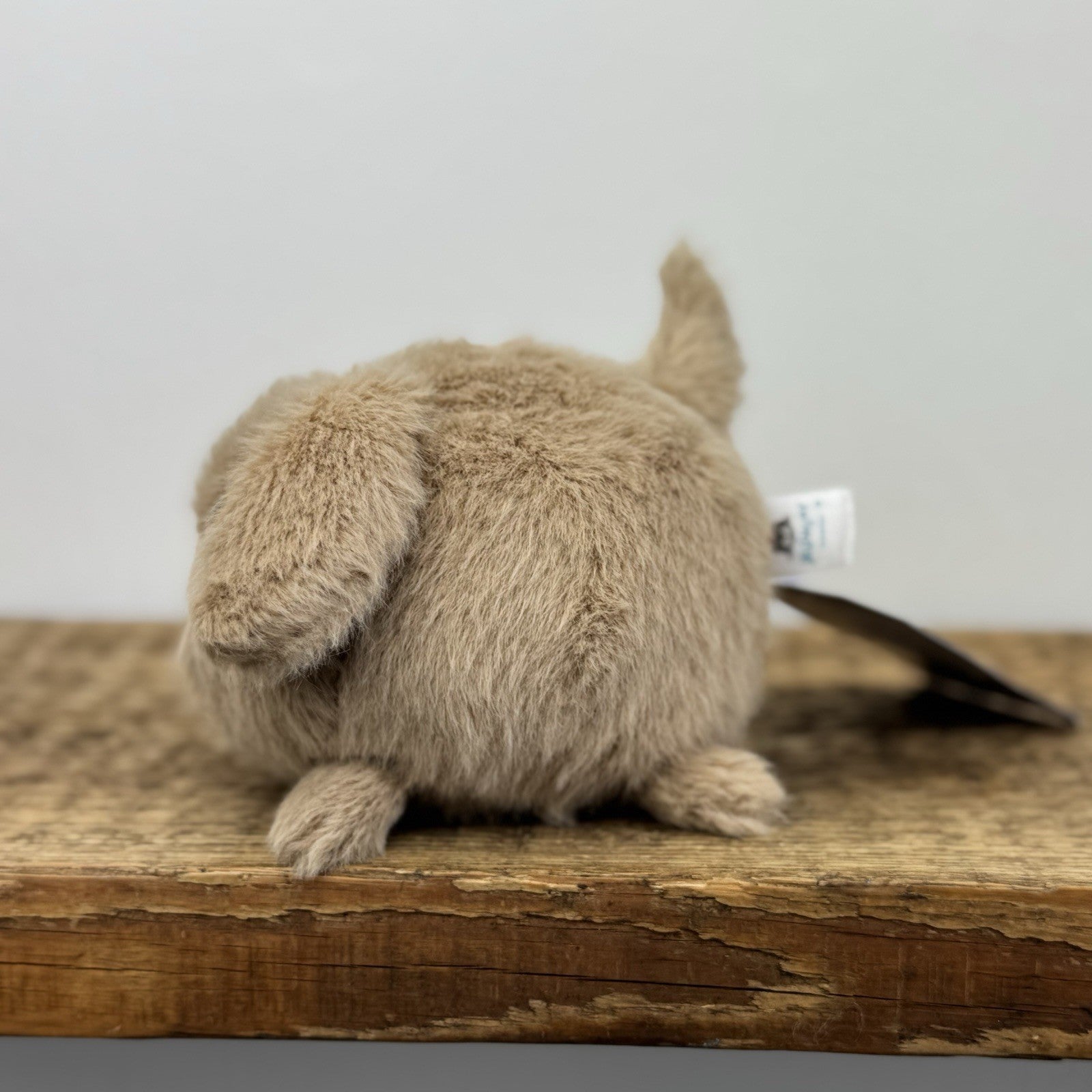 Jellycat Caboodle Puppy Dog - Brown Tiny Soft Toy Dog Small Honey Pup Retired 5"