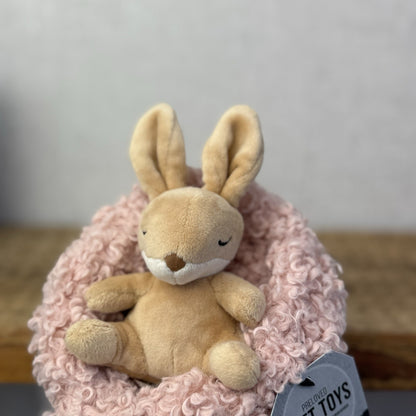 Jellycat Hibernating Bunny- Baby Sleeping Rabbit & Nest Soft Toy Plush Cute 5”
