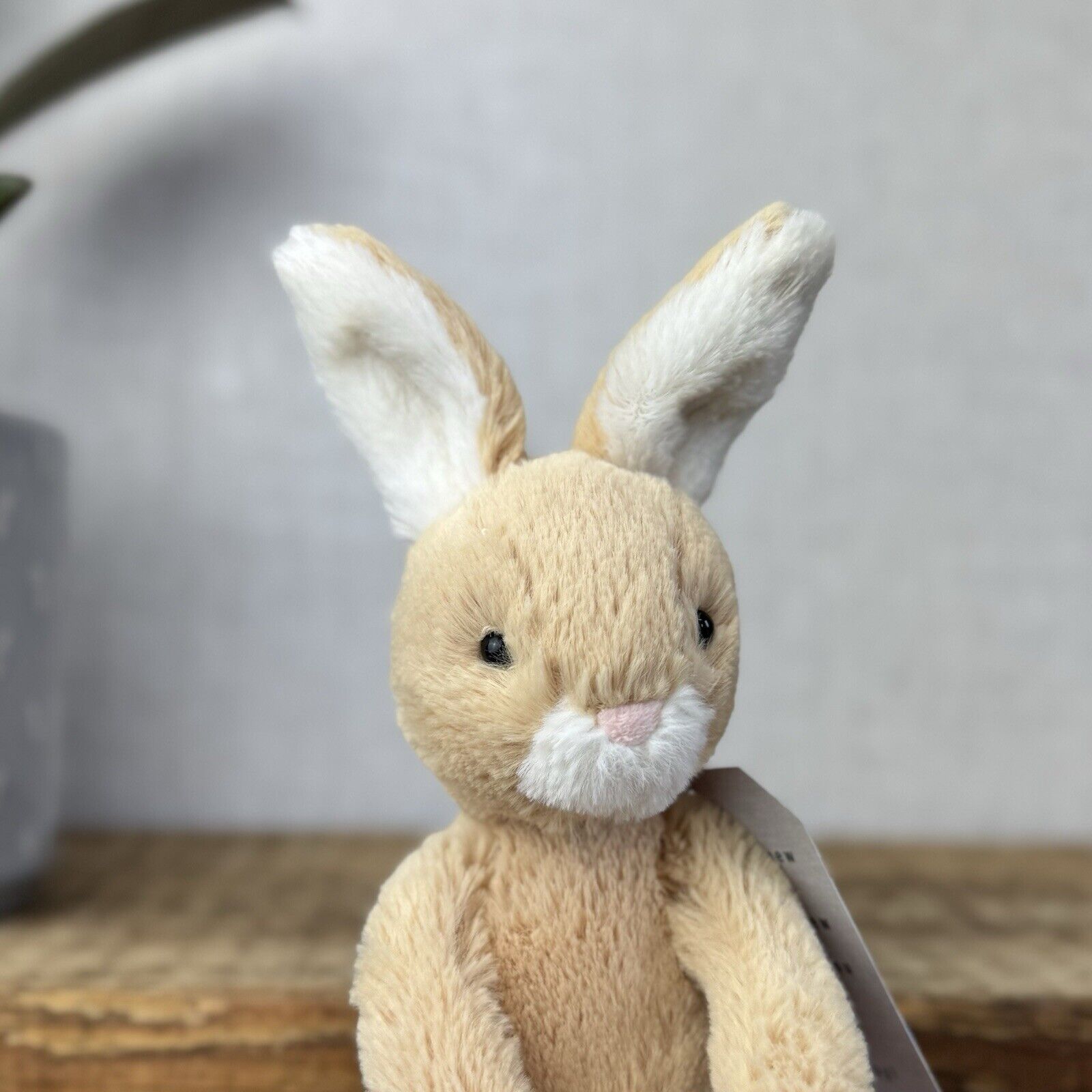 Jellycat Small Party Bunny (missing Dress) Small Honey Bunny With Long Legs 10”