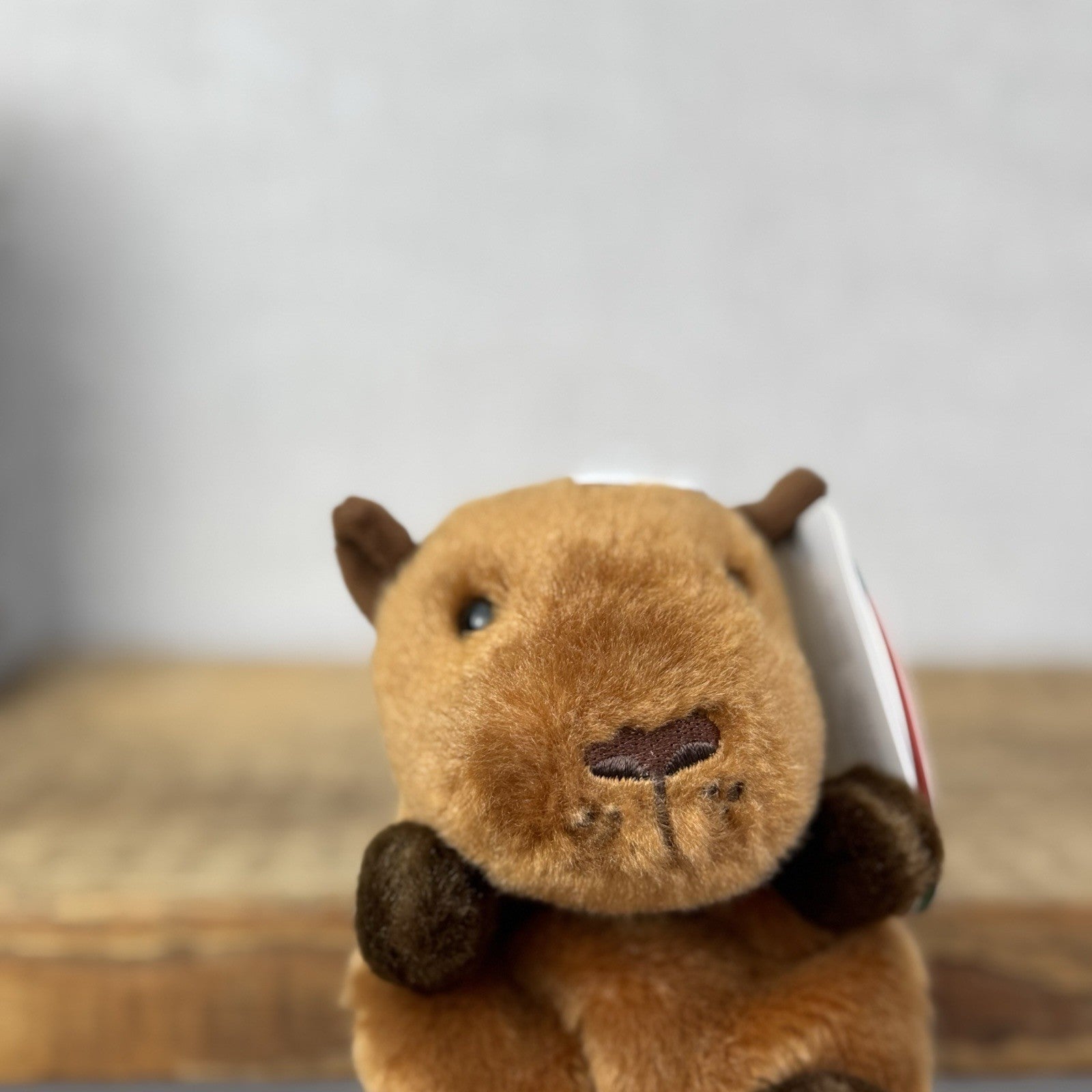 Aurora - Sid Capybara - Palm Pals Mini Beanbag Plush Mini Capybara Plush Toy 5”