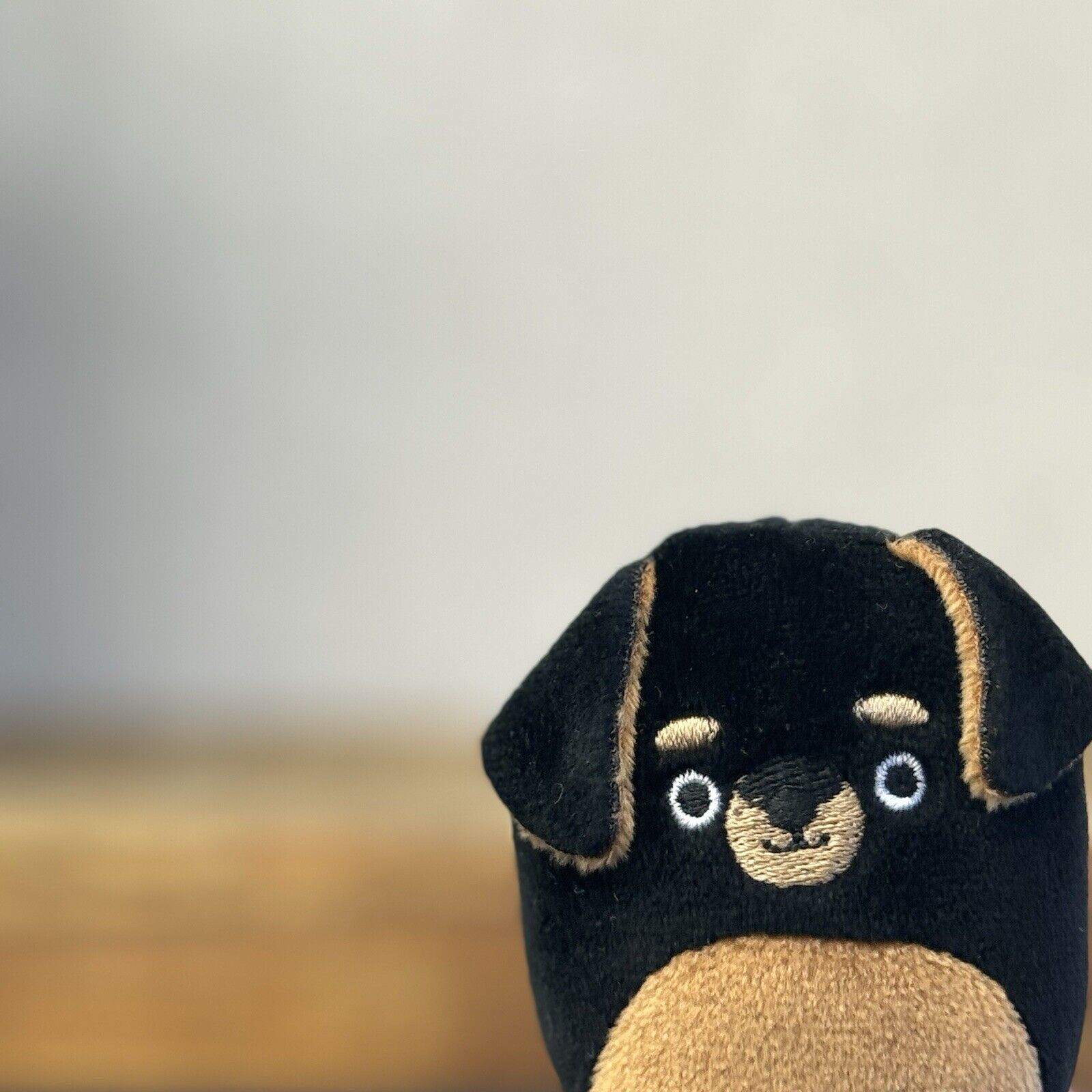Squishmallow Squishville - Matea Rottweiler - Black & Brown Tiny Dog Squish 2"