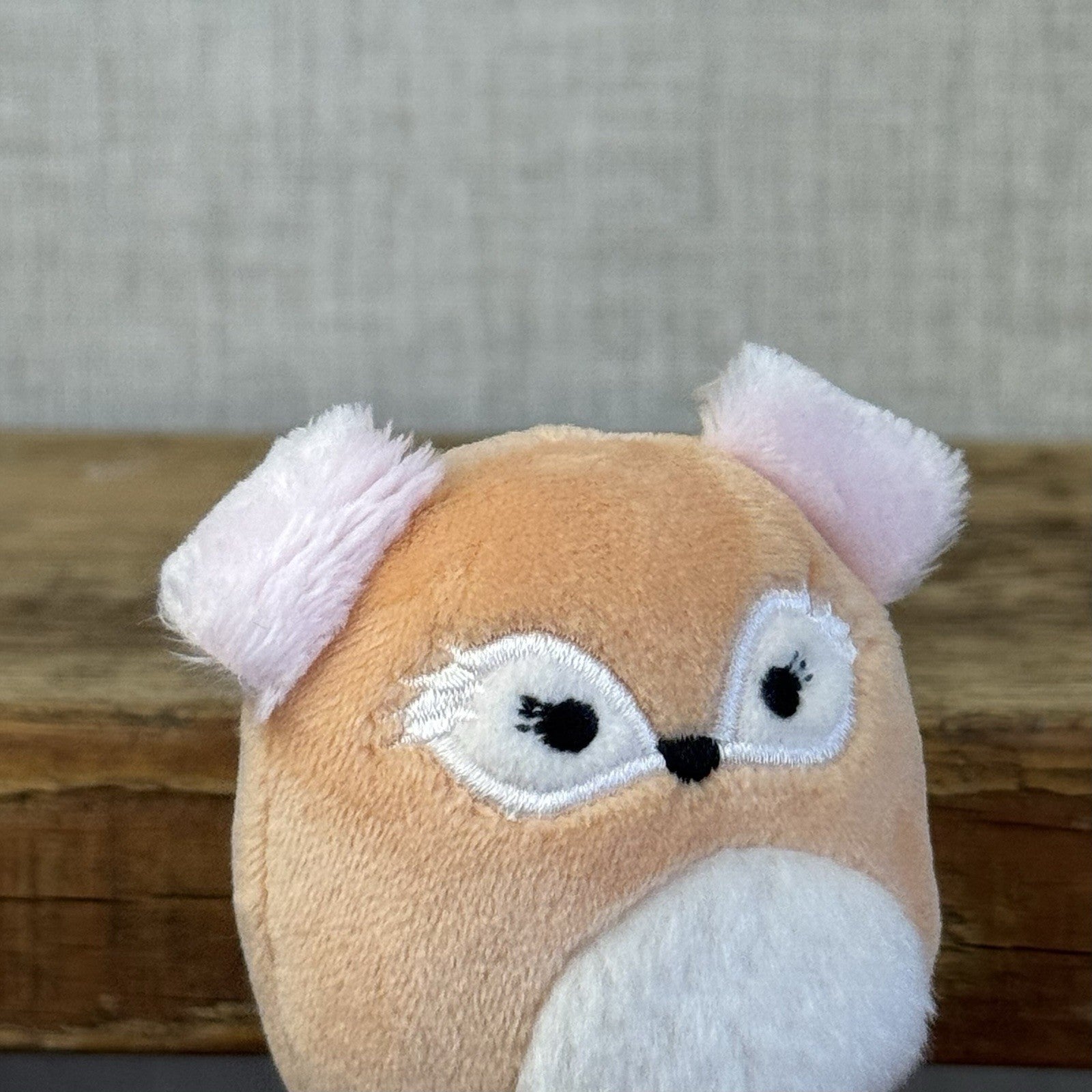 Squishmallow Squishville - Pace Fox Beige Fluffy Ears Fox (Multi Buy Discount)