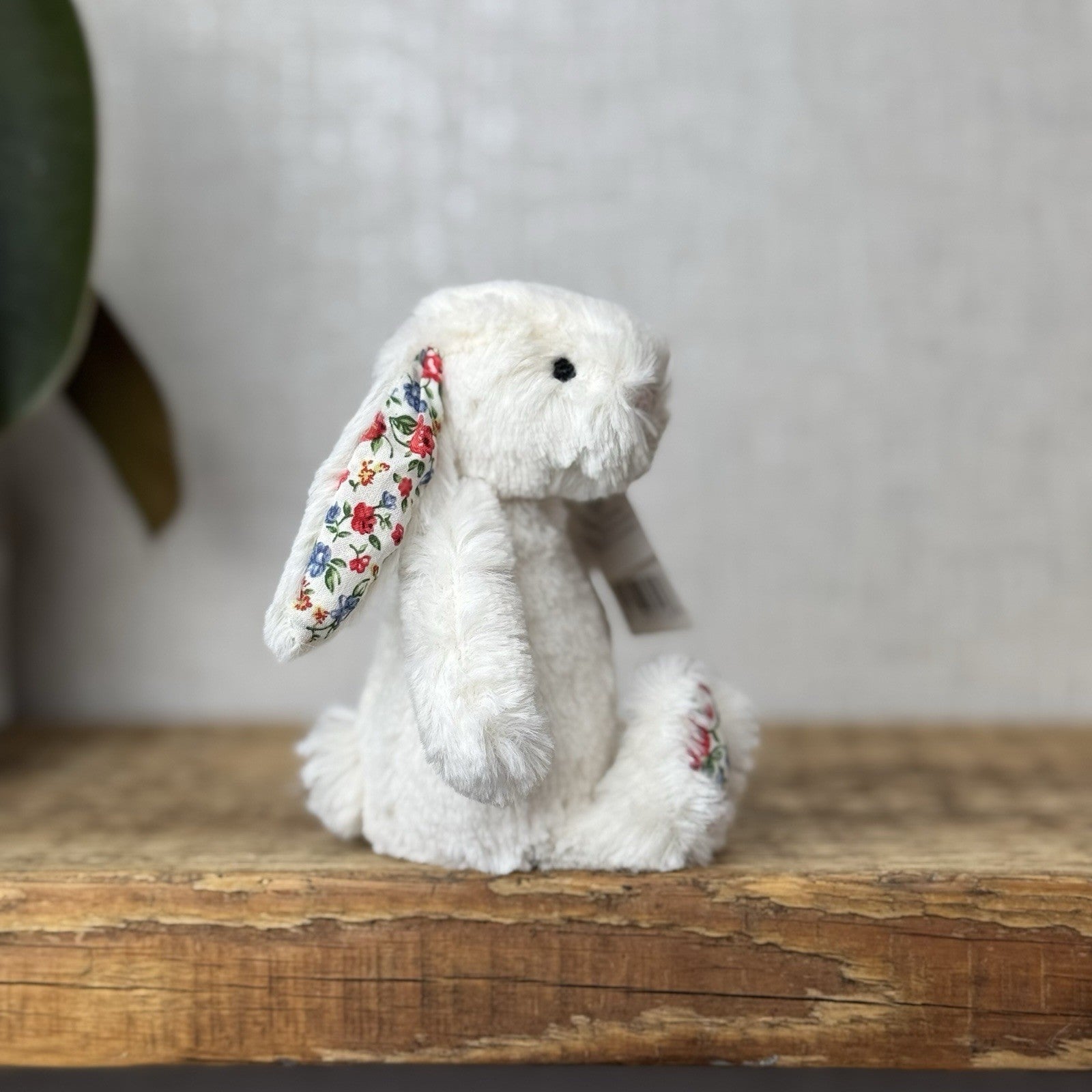 Jellycat Baby Cream Blossom Bashful Bunny - Baby Cream Rabbit New With Tags 5”