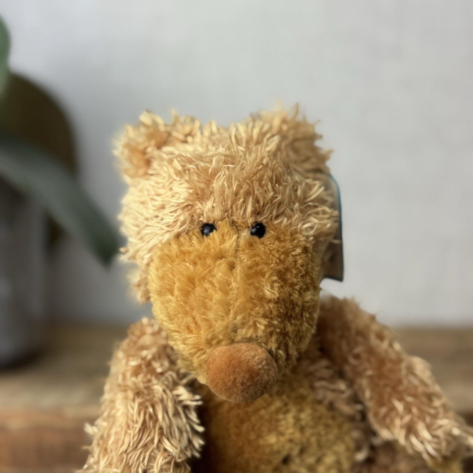 Jellycat Small Paw Paw Bear Golden Bear Beanie Vintage Soft Plush Toy Retired 9"