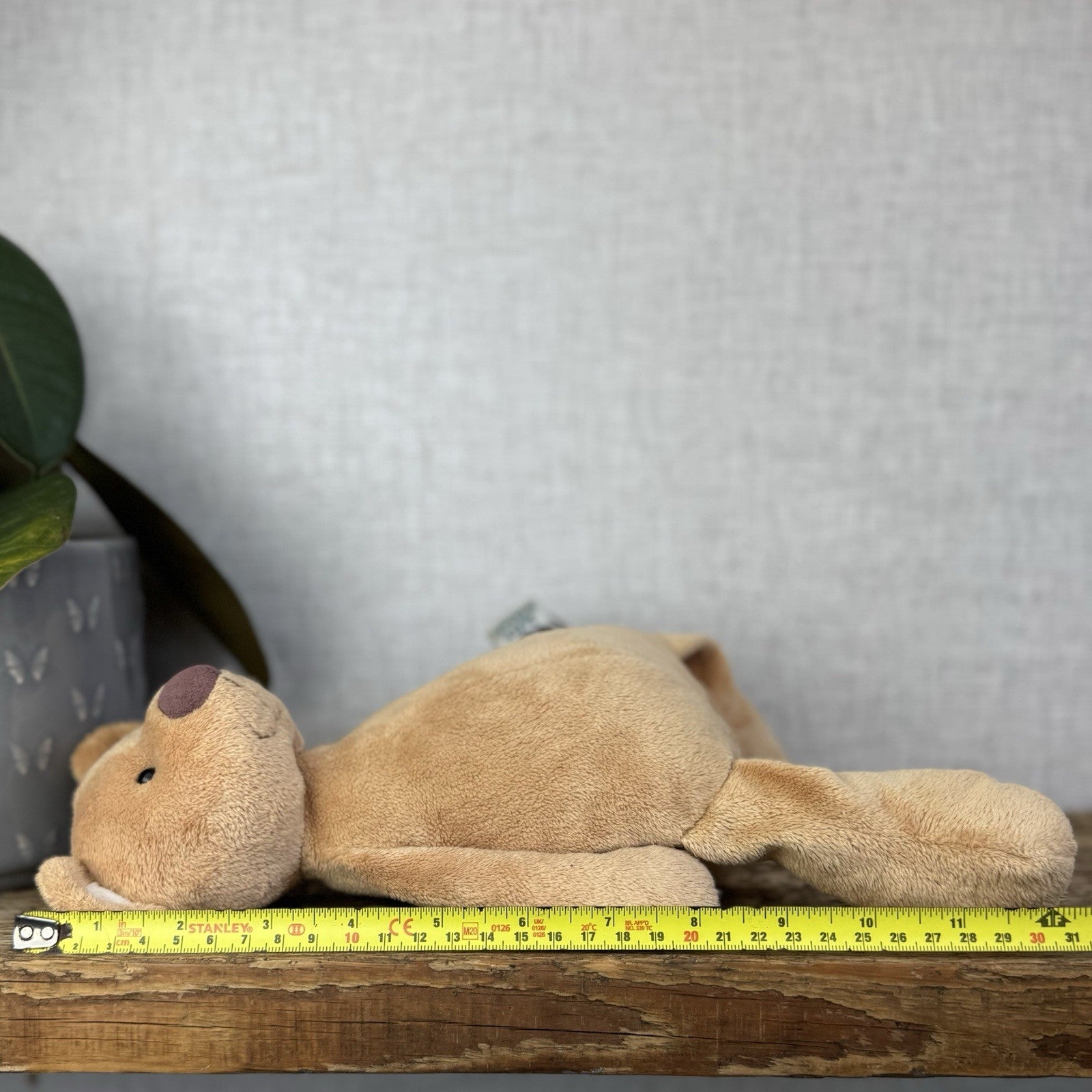 Jellycat JellyKitten Traditional Teddy Bear Beige Tan New Without Tags 12” Rare