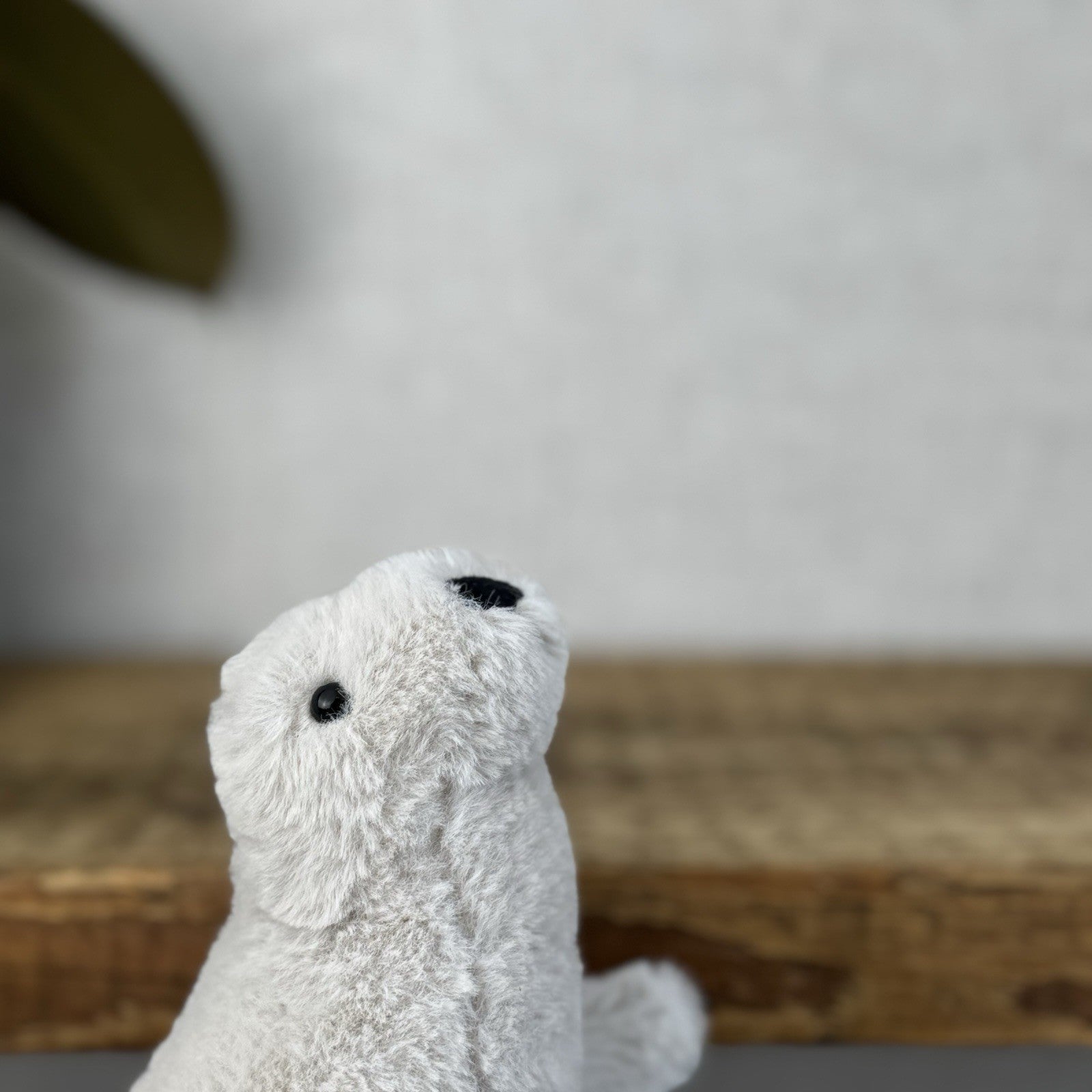 Jellycat Diddle Seal - Diddle Collection - Tiny Seal Soft Toy Plush Collectible 
