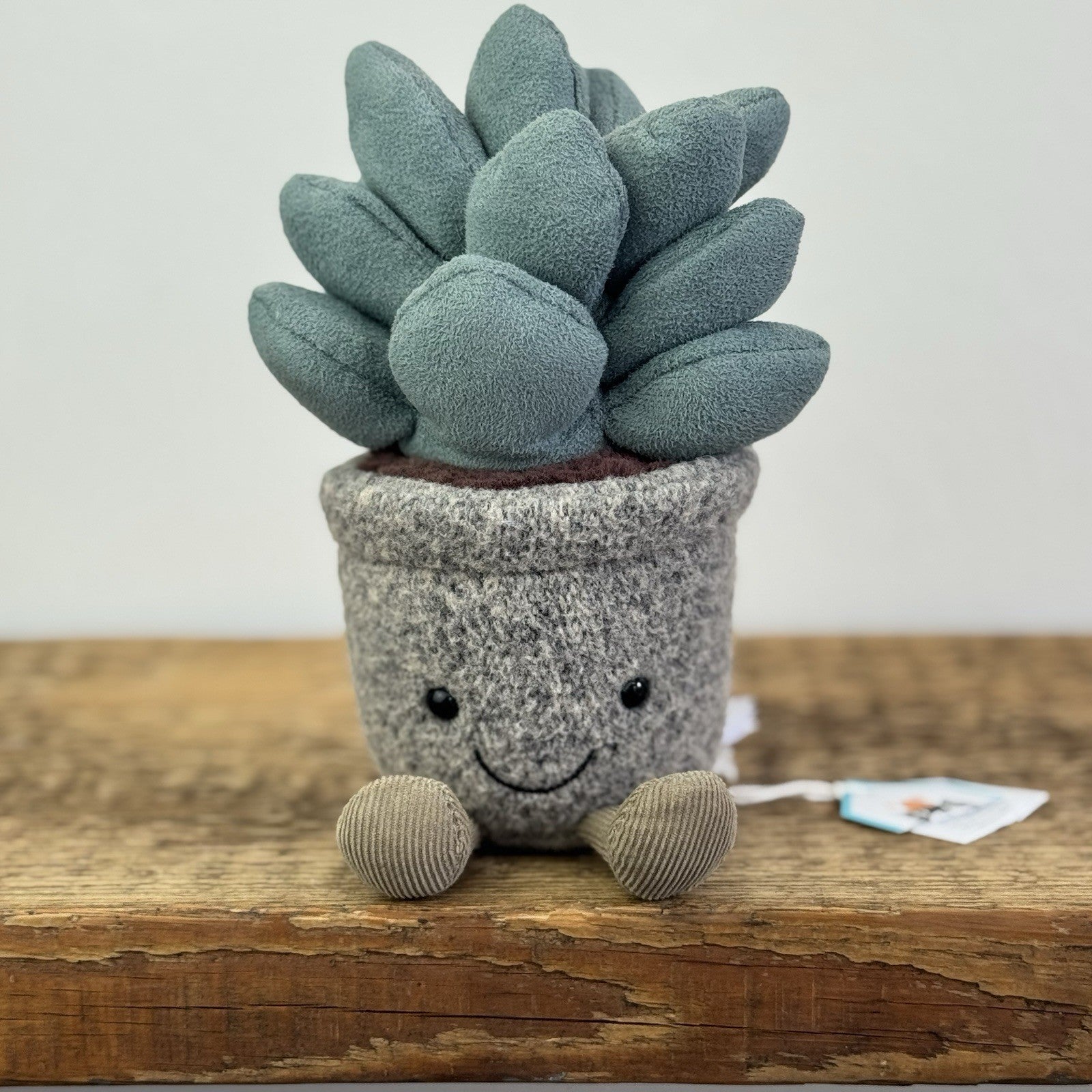 Jellycat Succulent Azuilita - Partial Paper Tag - Potted Succelent Beanie Plush 